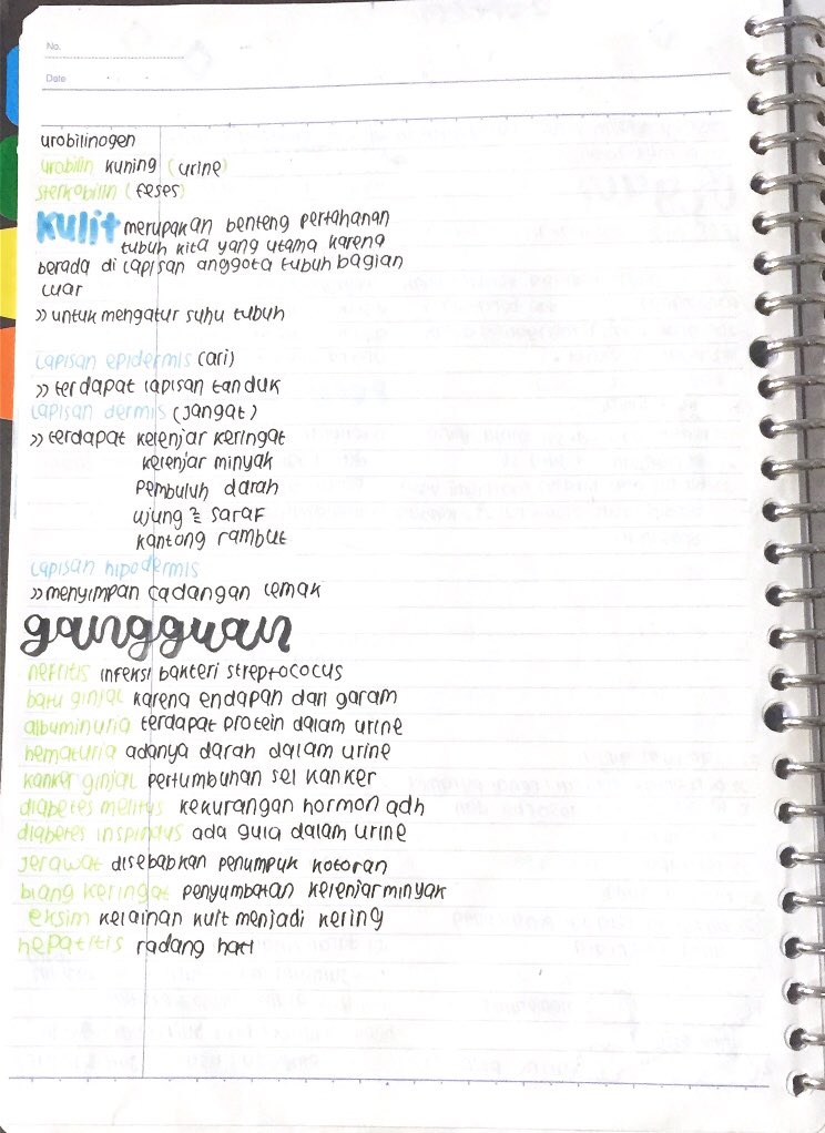 Sistem Ekskresi – Biologi Kelas 8 - halaman 2