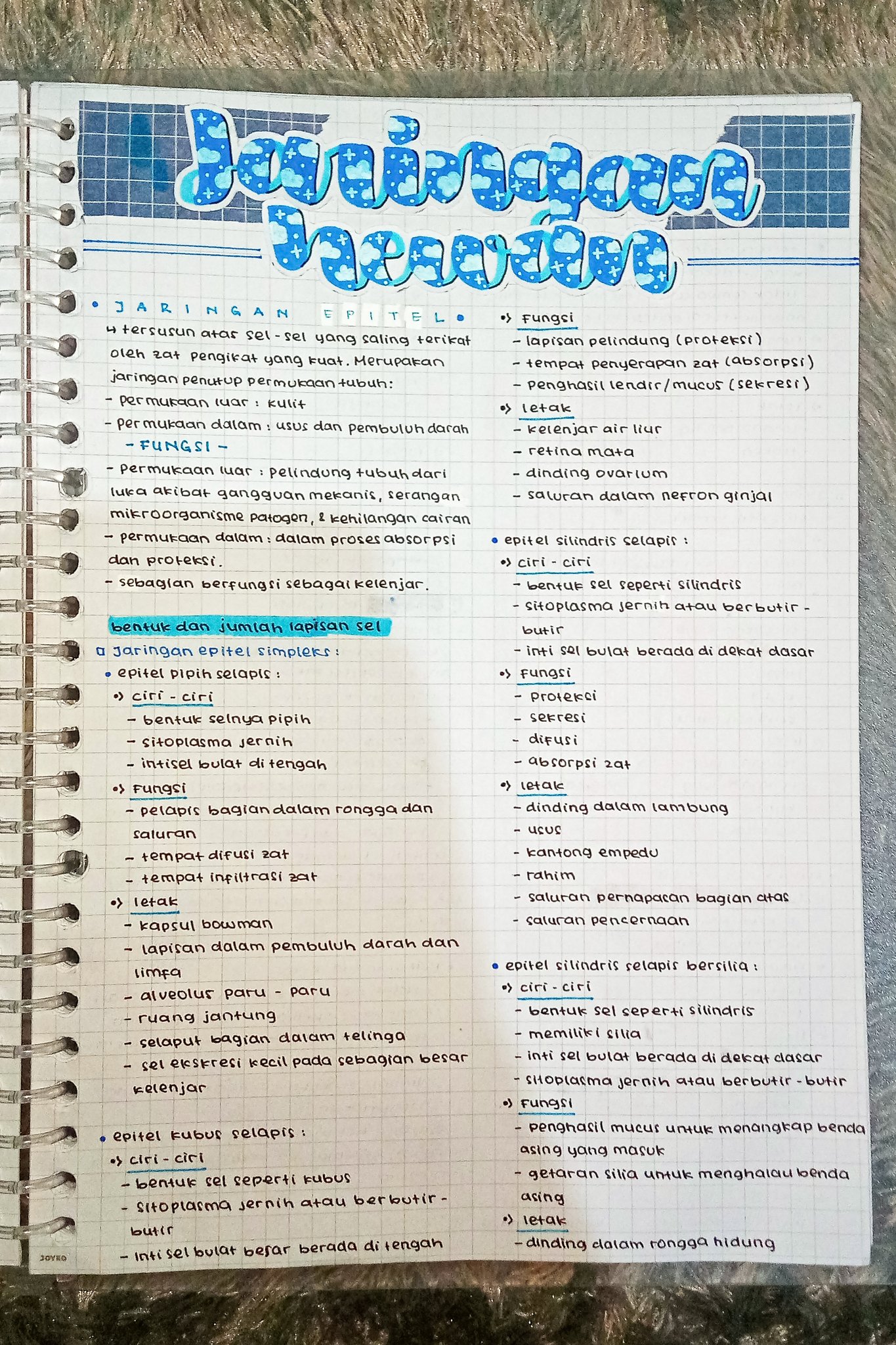 Jaringan Hewan – Biologi Kelas 11