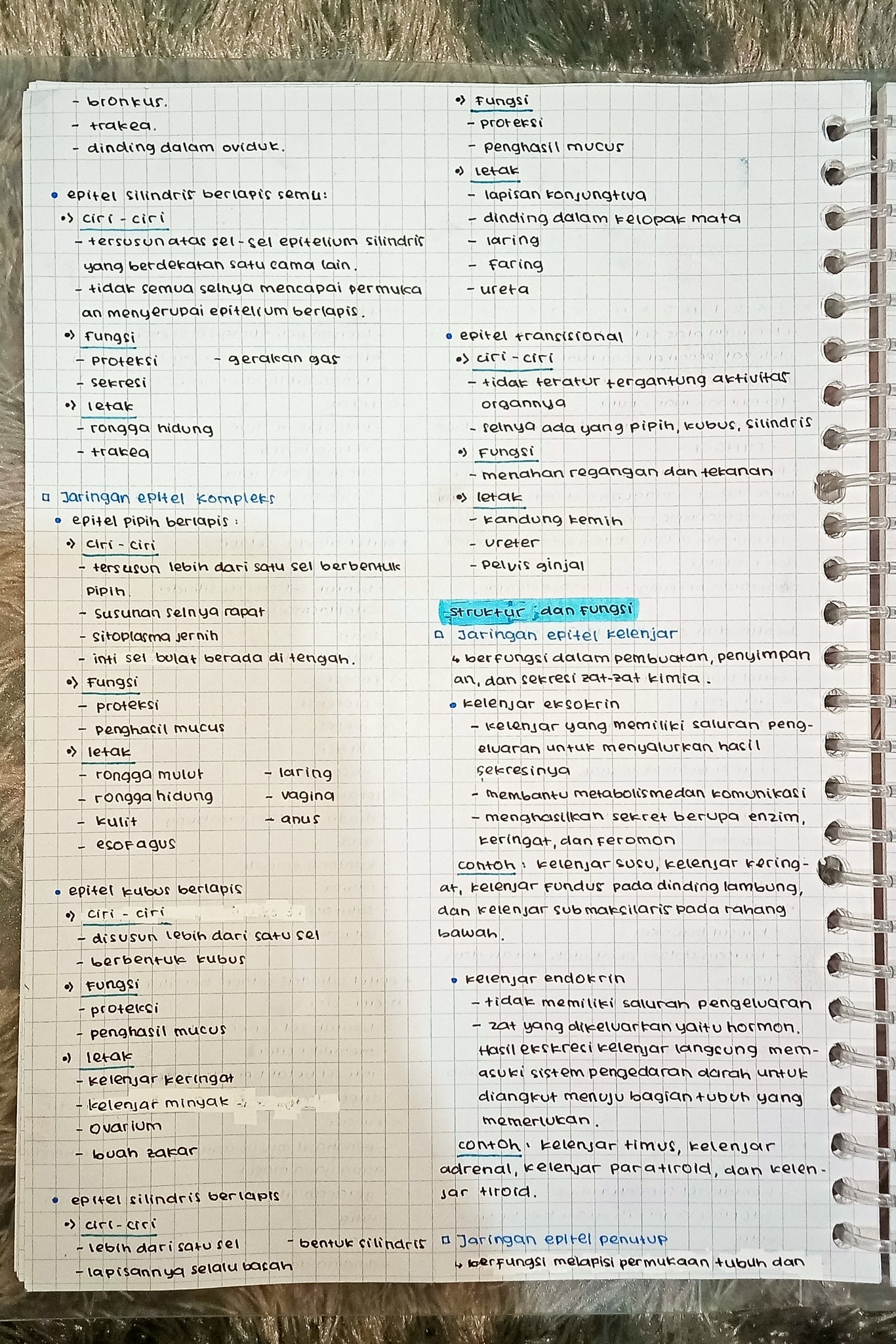 Jaringan Hewan – Biologi Kelas 11 - halaman 2