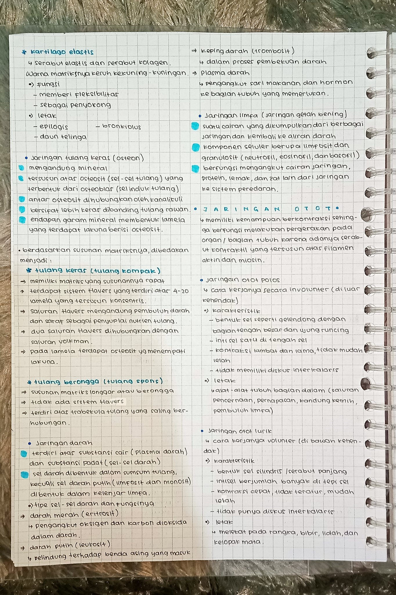 Jaringan Hewan – Biologi Kelas 11 - halaman 4