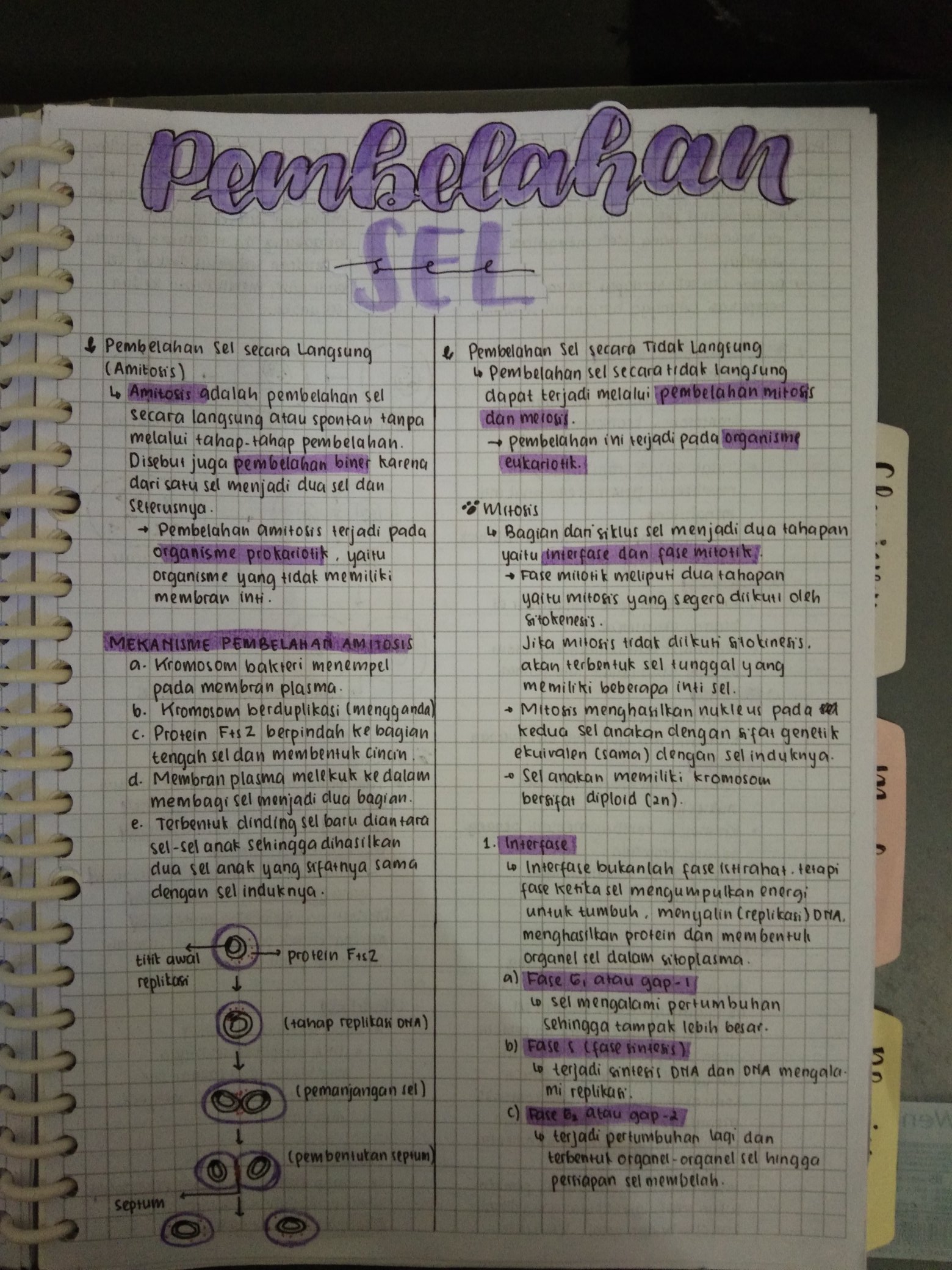 Pembelahan Sel – Biologi Kelas 12