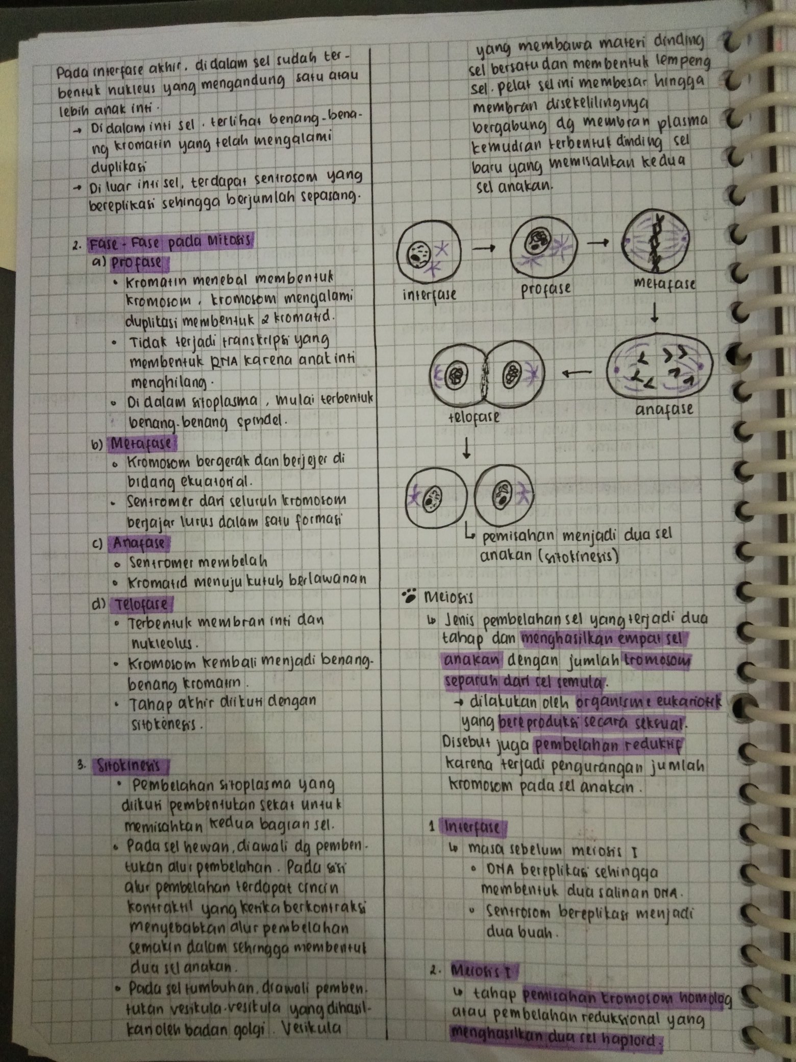 Pembelahan Sel – Biologi Kelas 12 - halaman 2