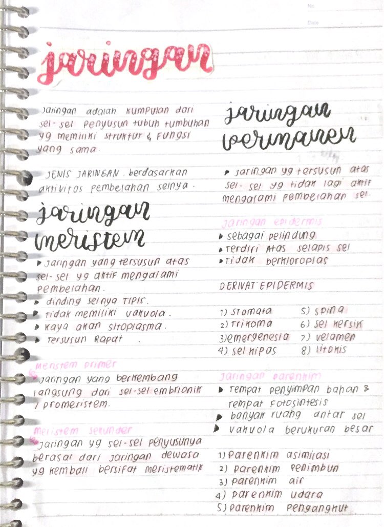 Jaringan : Biologi Kelas 8