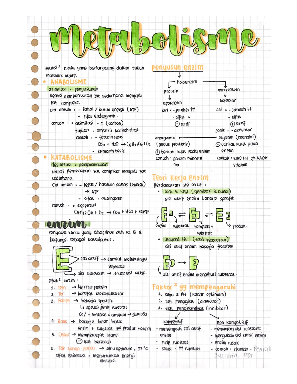 Metabolisme Biologi Kelas 12