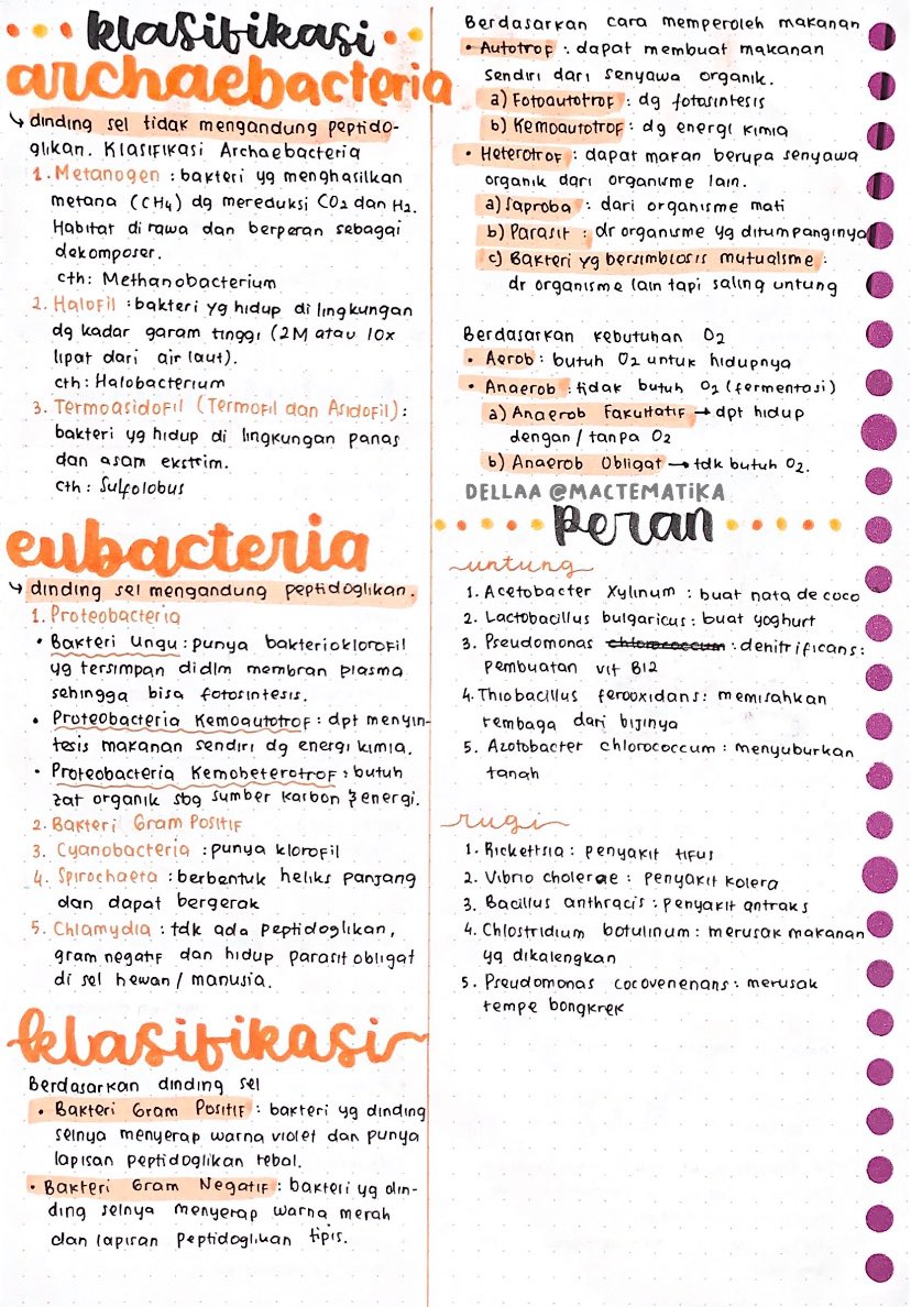 Bakteri (Monera) – Biologi Kelas 10 - halaman 2