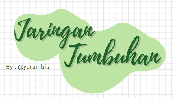Jaringan dan Organ Tumbuhan – Biologi Kelas 