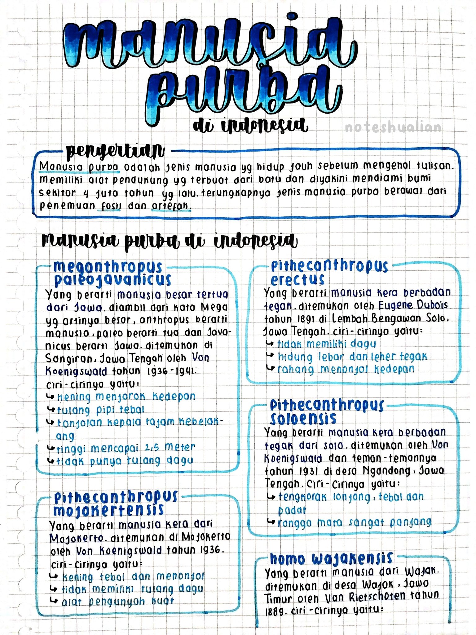 Manusia Purba di Indonesia Kelas 10