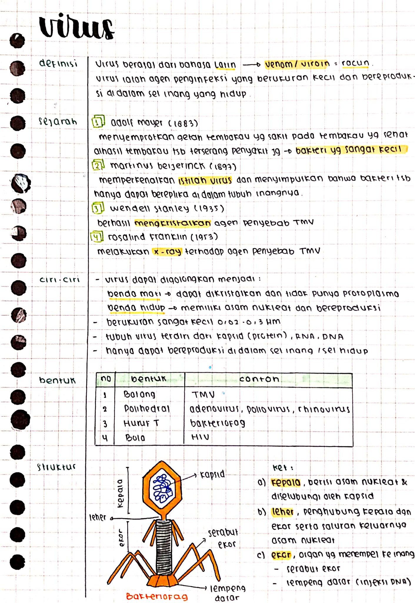 Virus Kelas 10