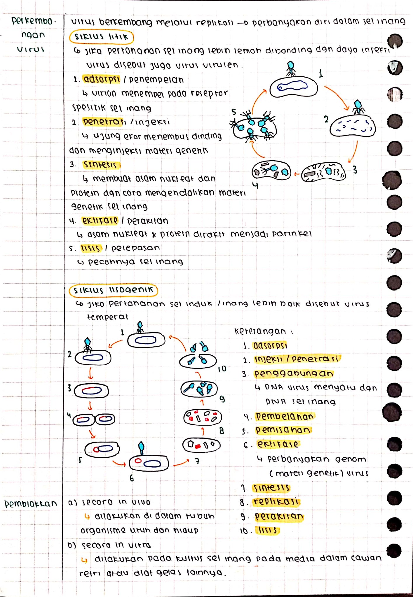 Virus Kelas 10 - halaman 2