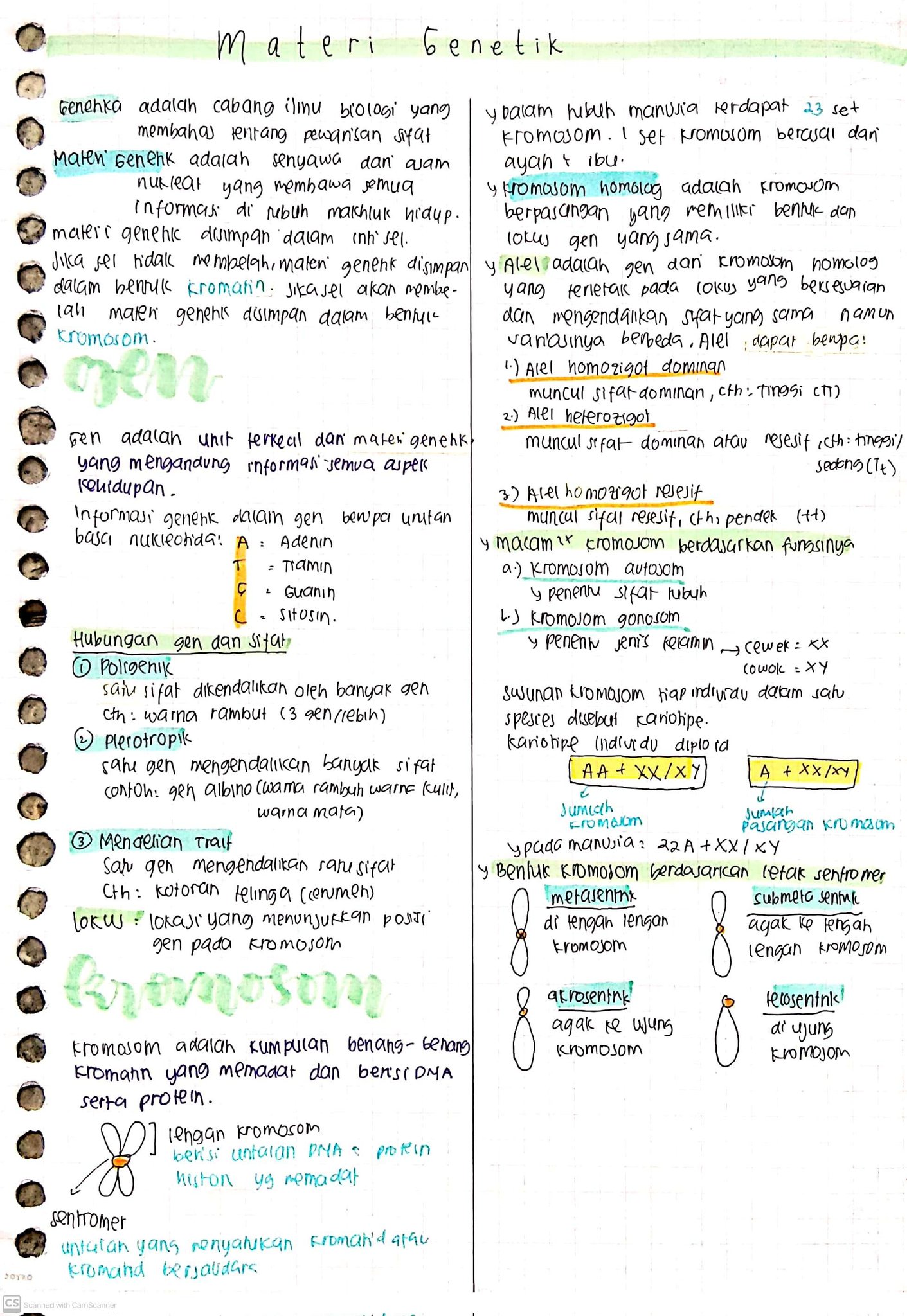 Materi Genetik Biologi Kelas 12