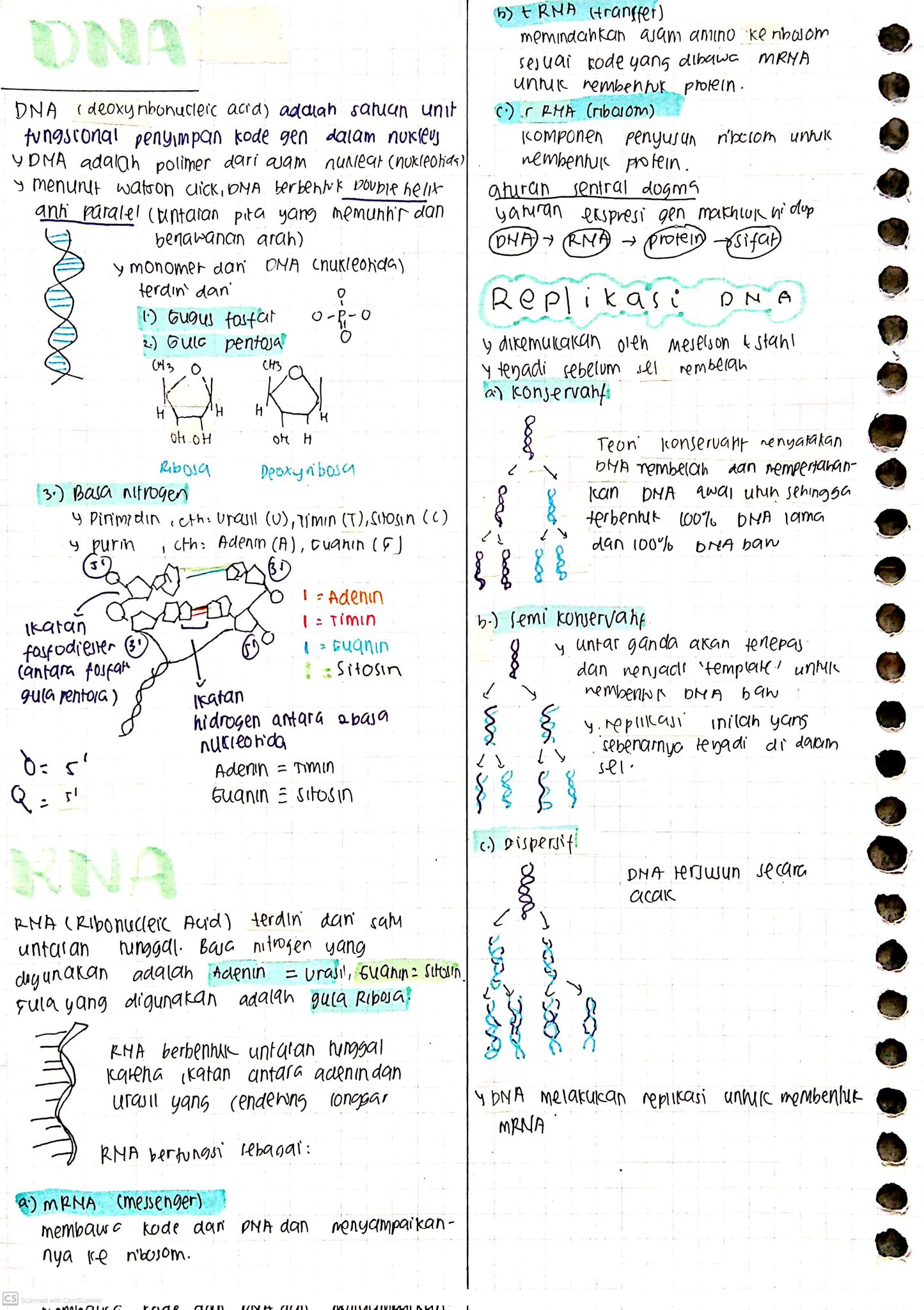 Materi Genetik Biologi Kelas 12 - halaman 2