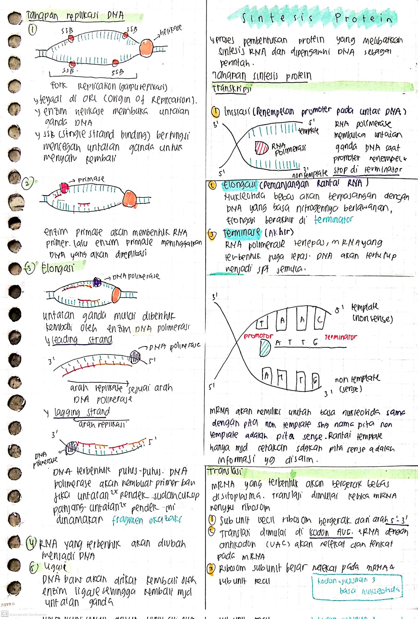 Materi Genetik Biologi Kelas 12 - halaman 3