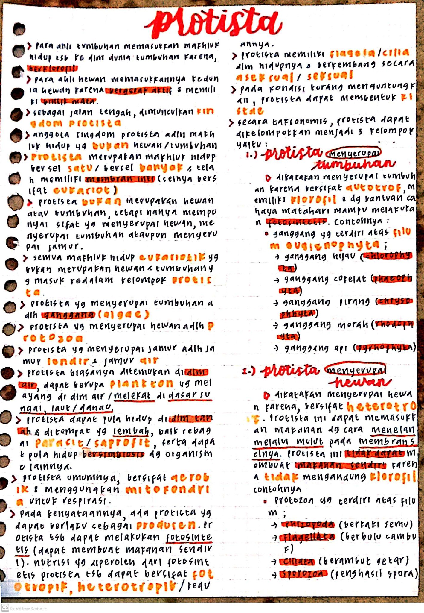 Protista Biologi Kelas 10
