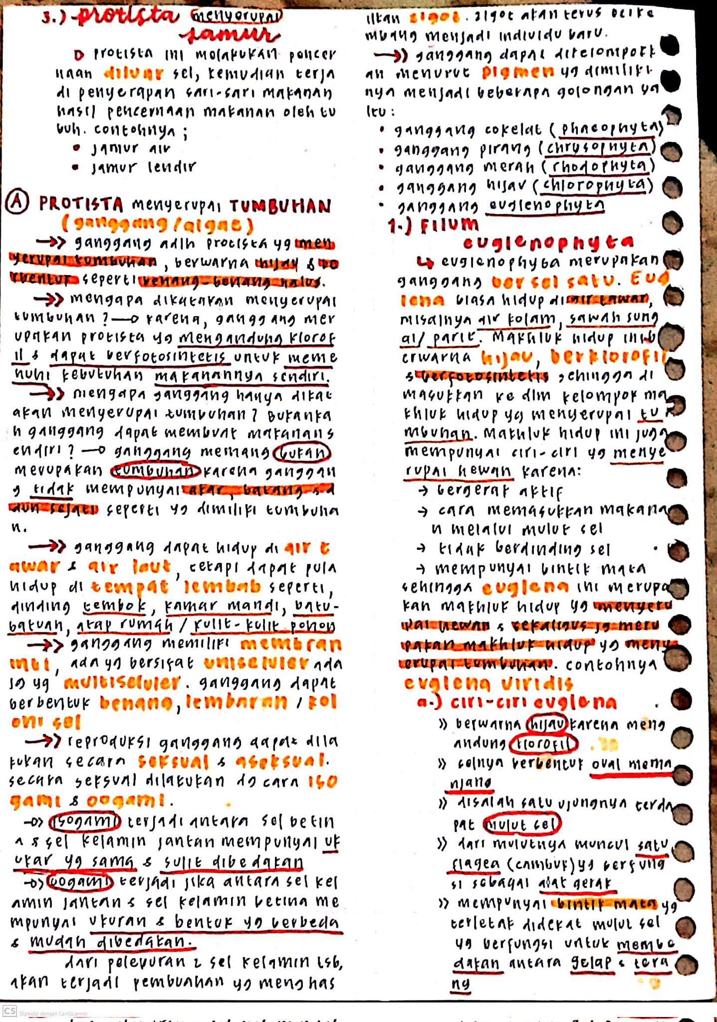 Protista Biologi Kelas 10 - halaman 2