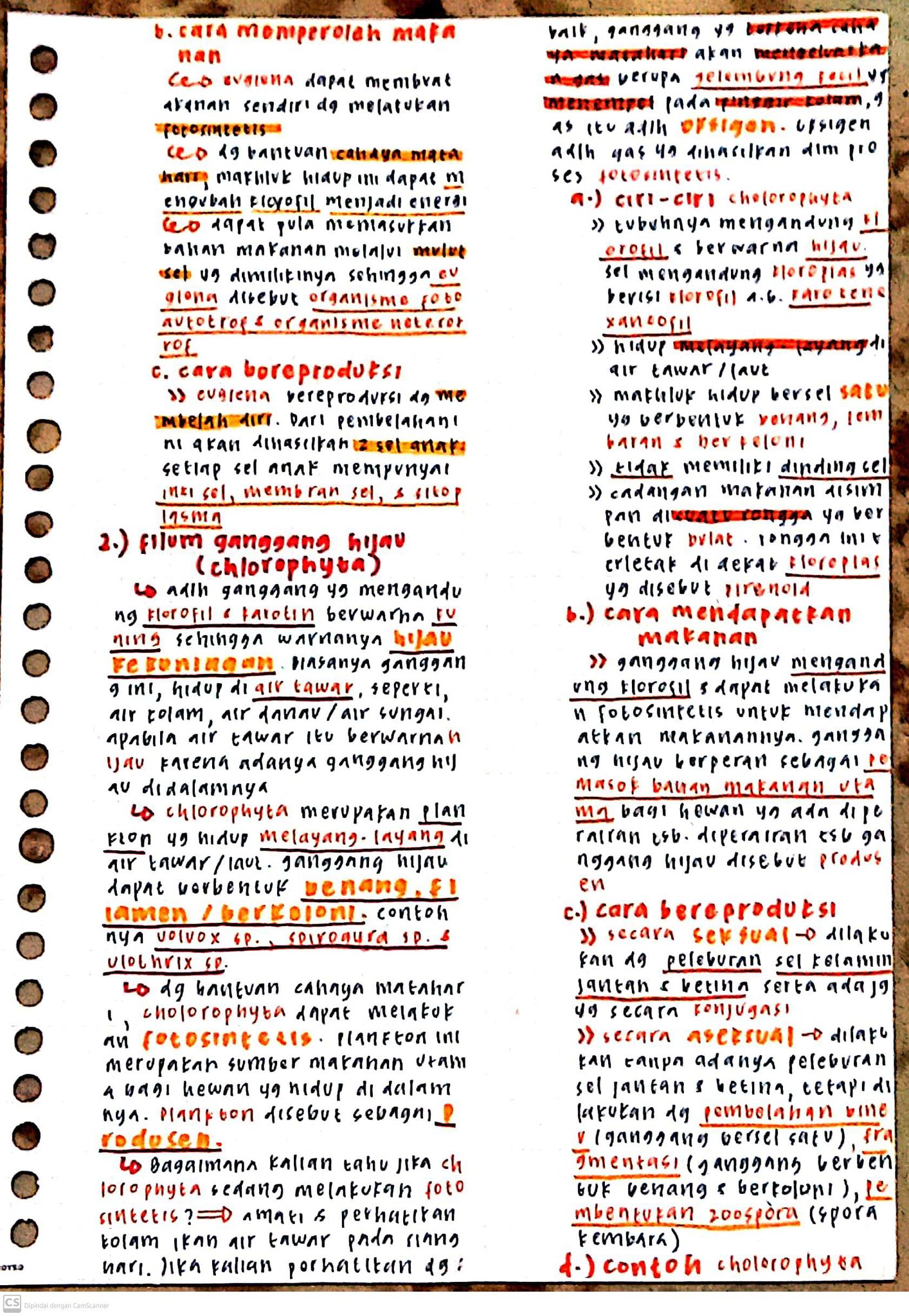 Protista Biologi Kelas 10 - halaman 3