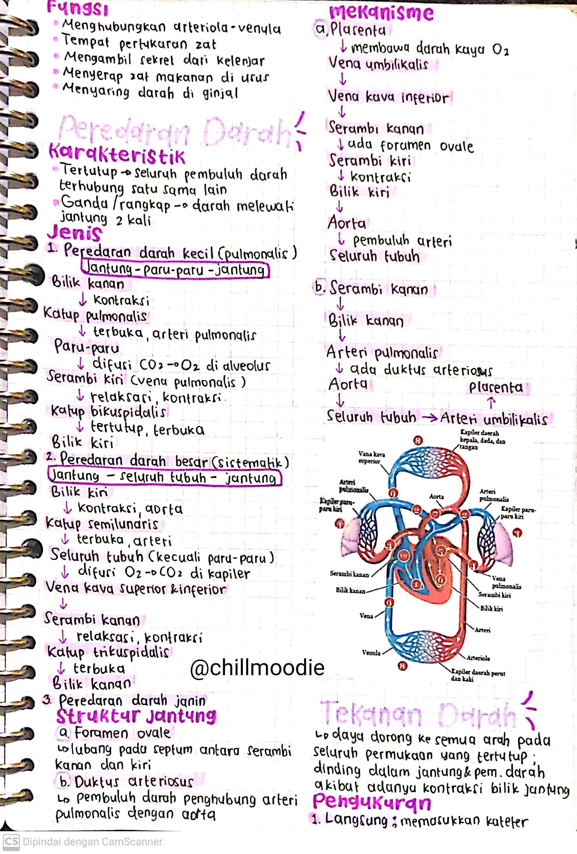Biologi Kelas 11: Sistem Peredaran Darah - halaman 3