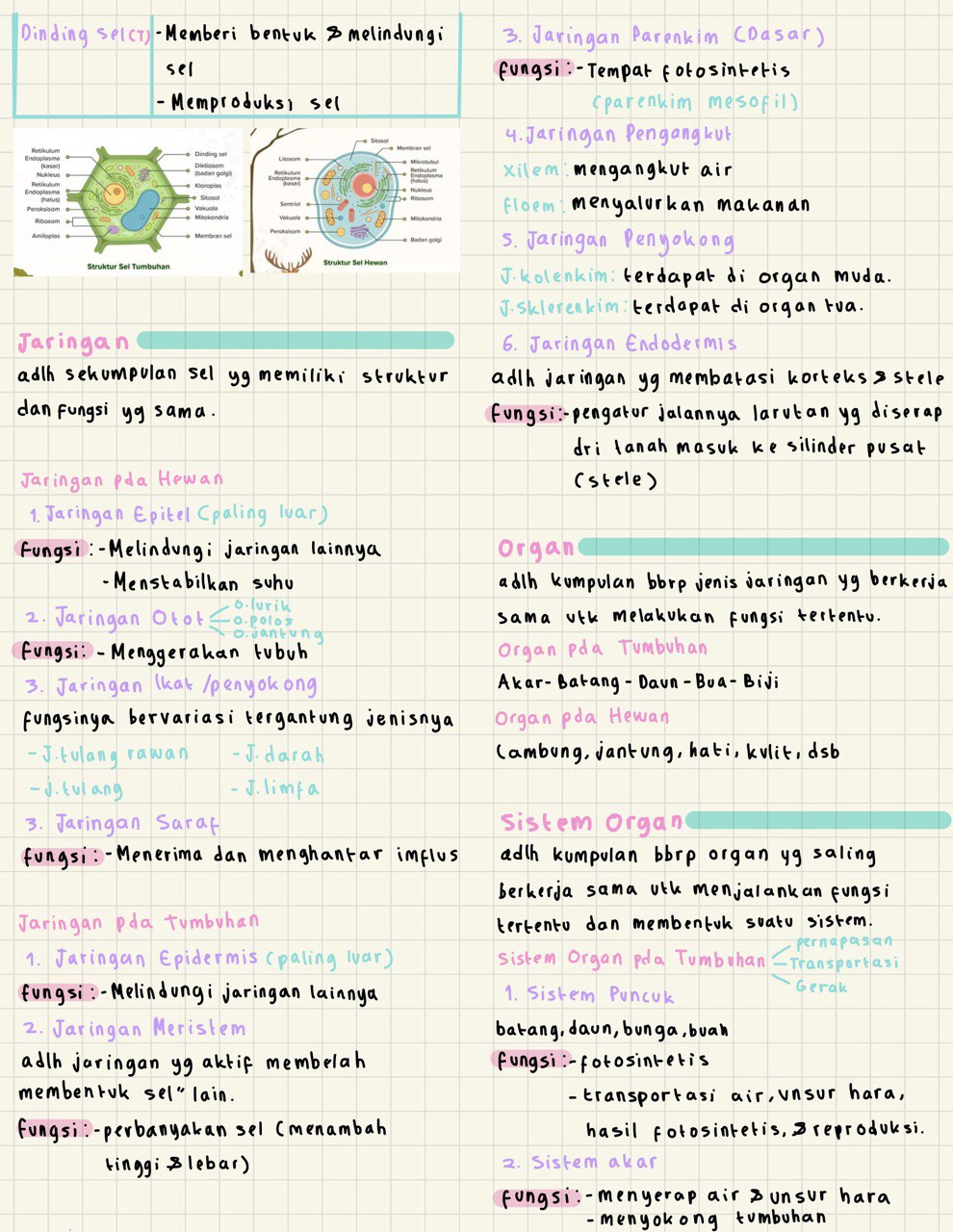 IPA: Sistem Organisasi Kehidupan Kelas 7 - halaman 2