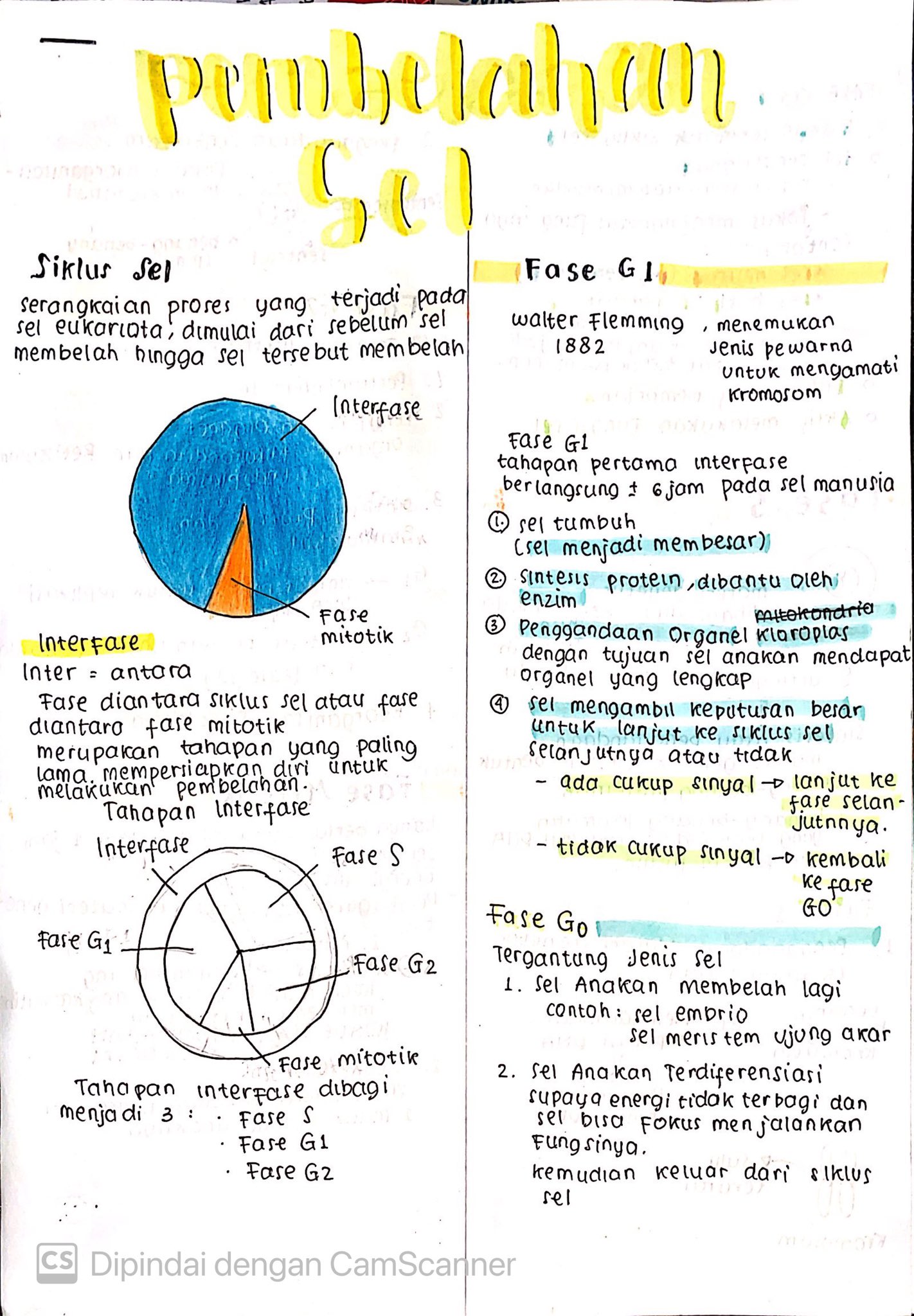 Materi Biologi Kelas 12: Pembelahan Sel