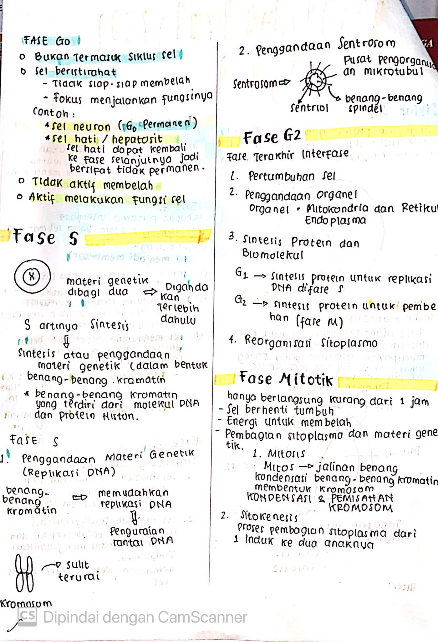Materi Biologi Kelas 12: Pembelahan Sel - halaman 2