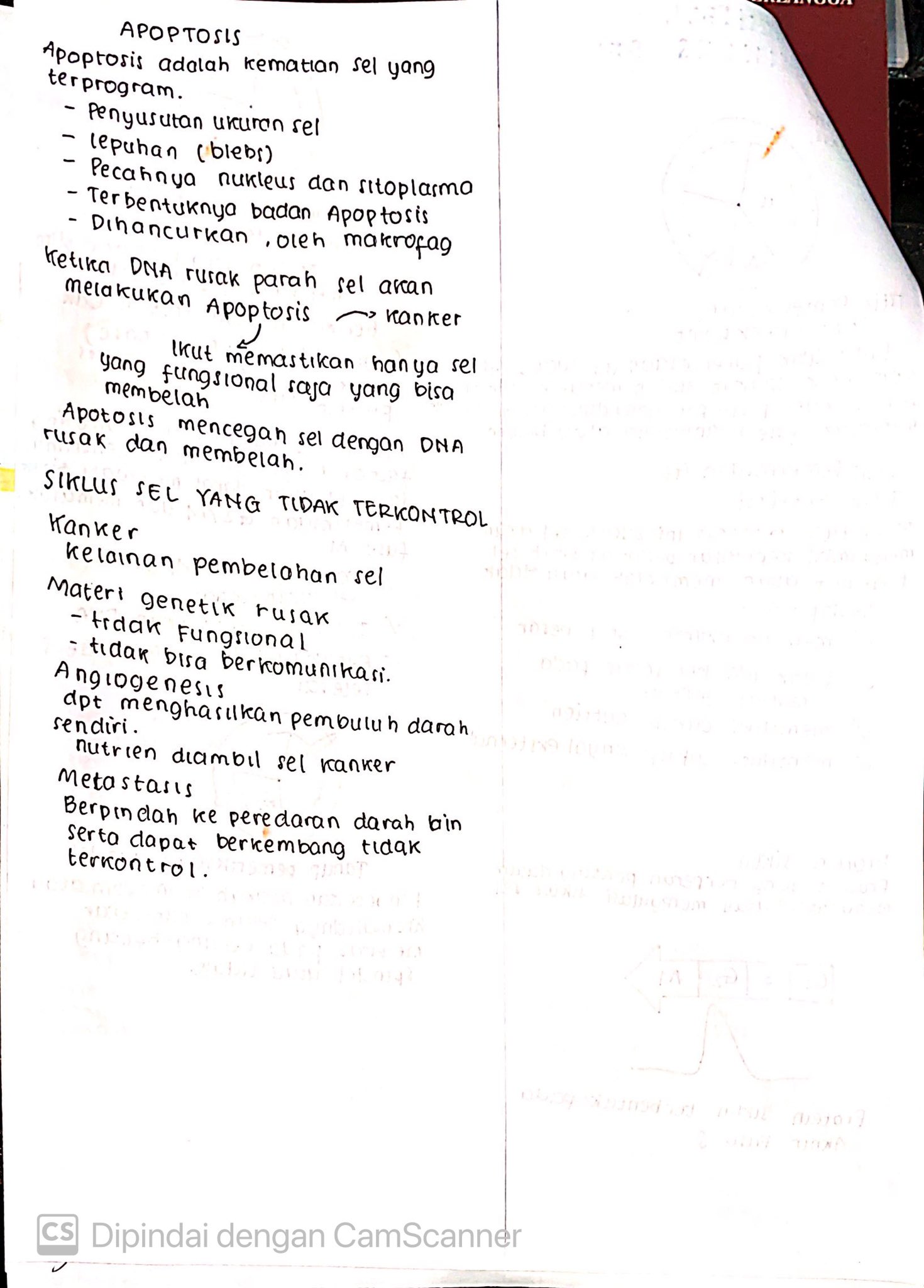 Materi Biologi Kelas 12: Pembelahan Sel - halaman 4