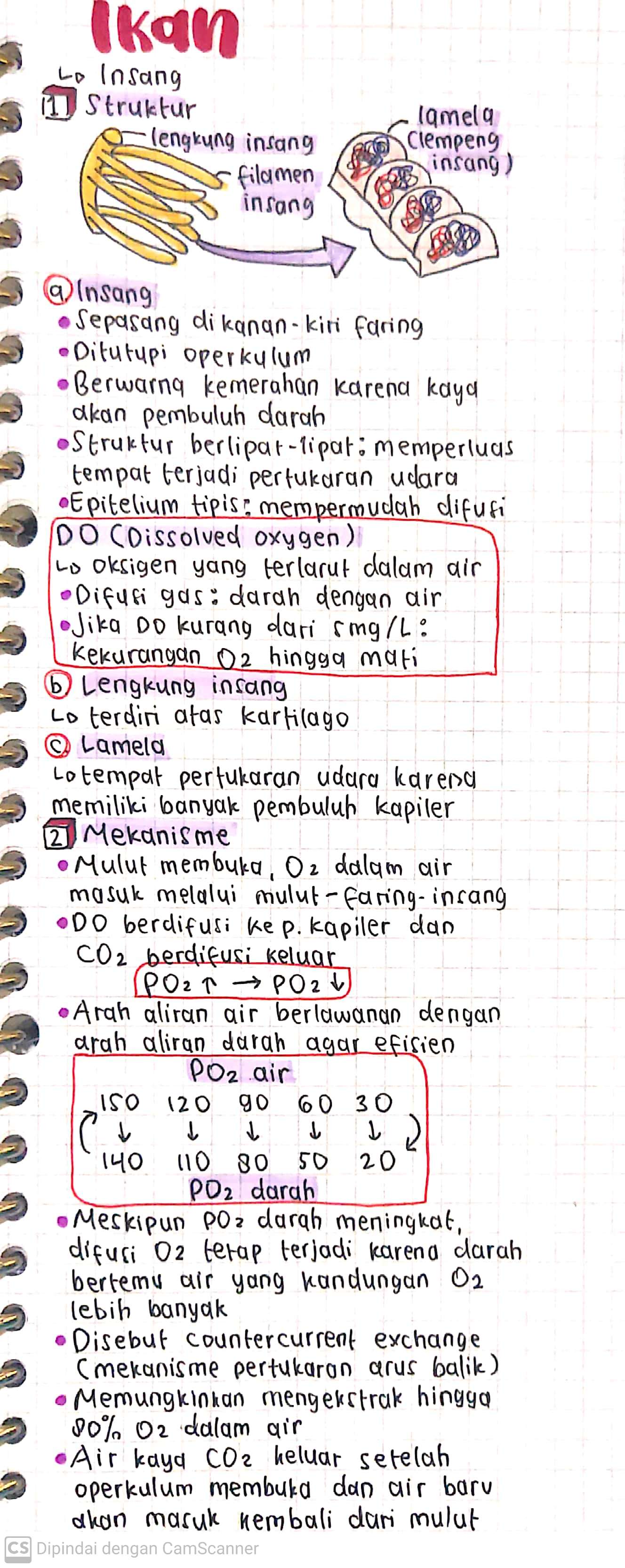 Biologi Kelas 11: Pernapasan Hewan - halaman 2