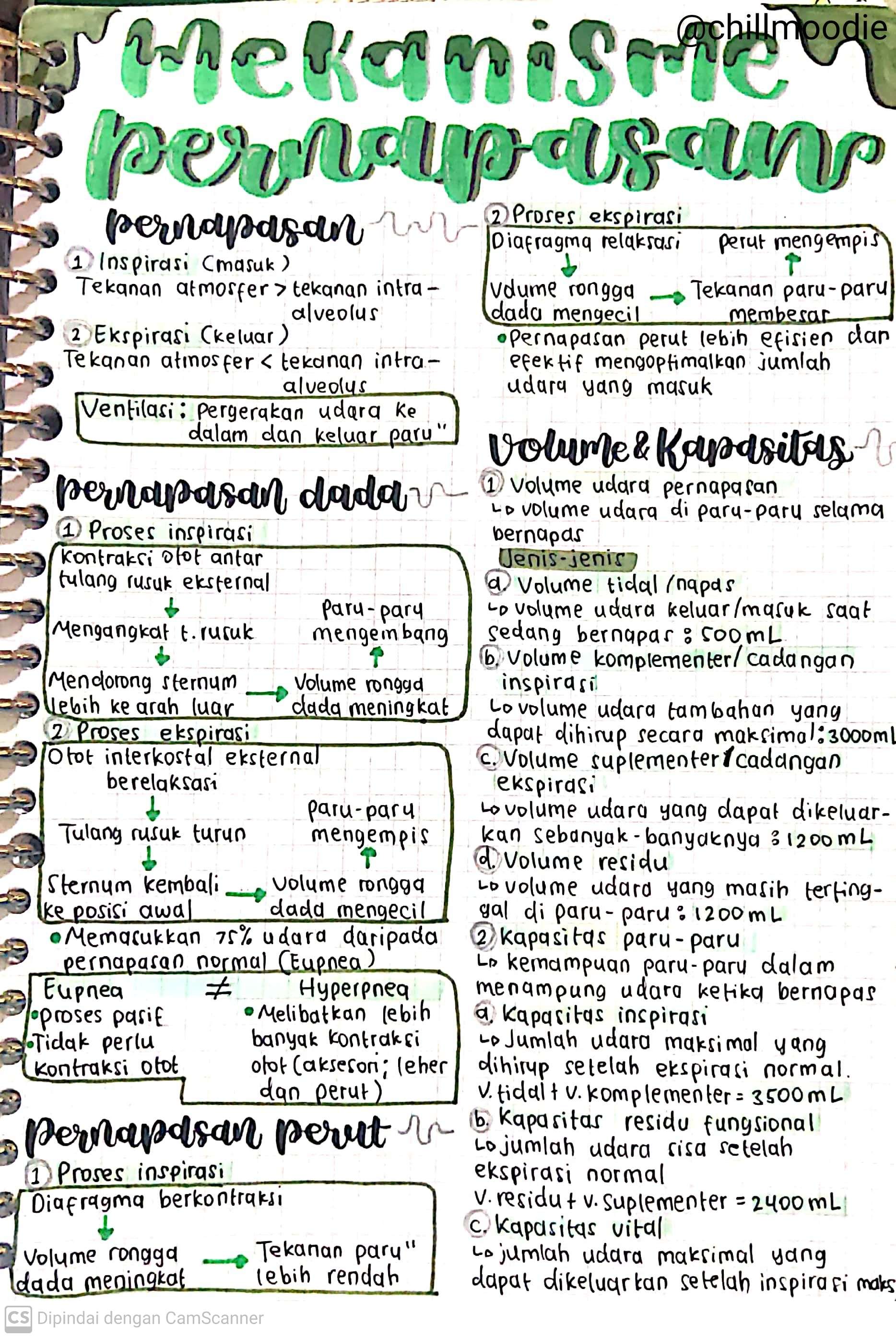 Biologi Kelas 11: Mekanisme Pernapasan