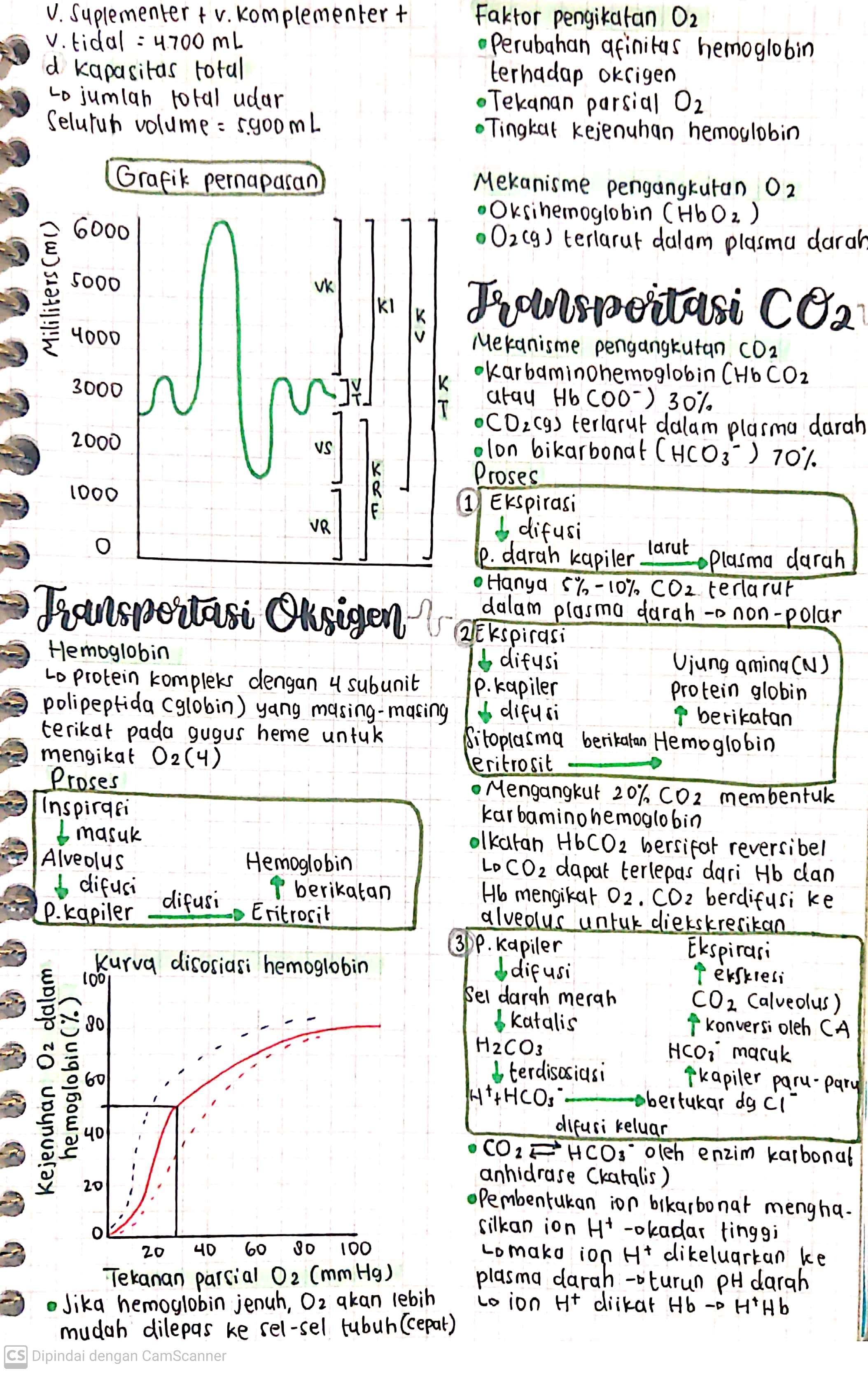 Biologi Kelas 11: Mekanisme Pernapasan - halaman 2