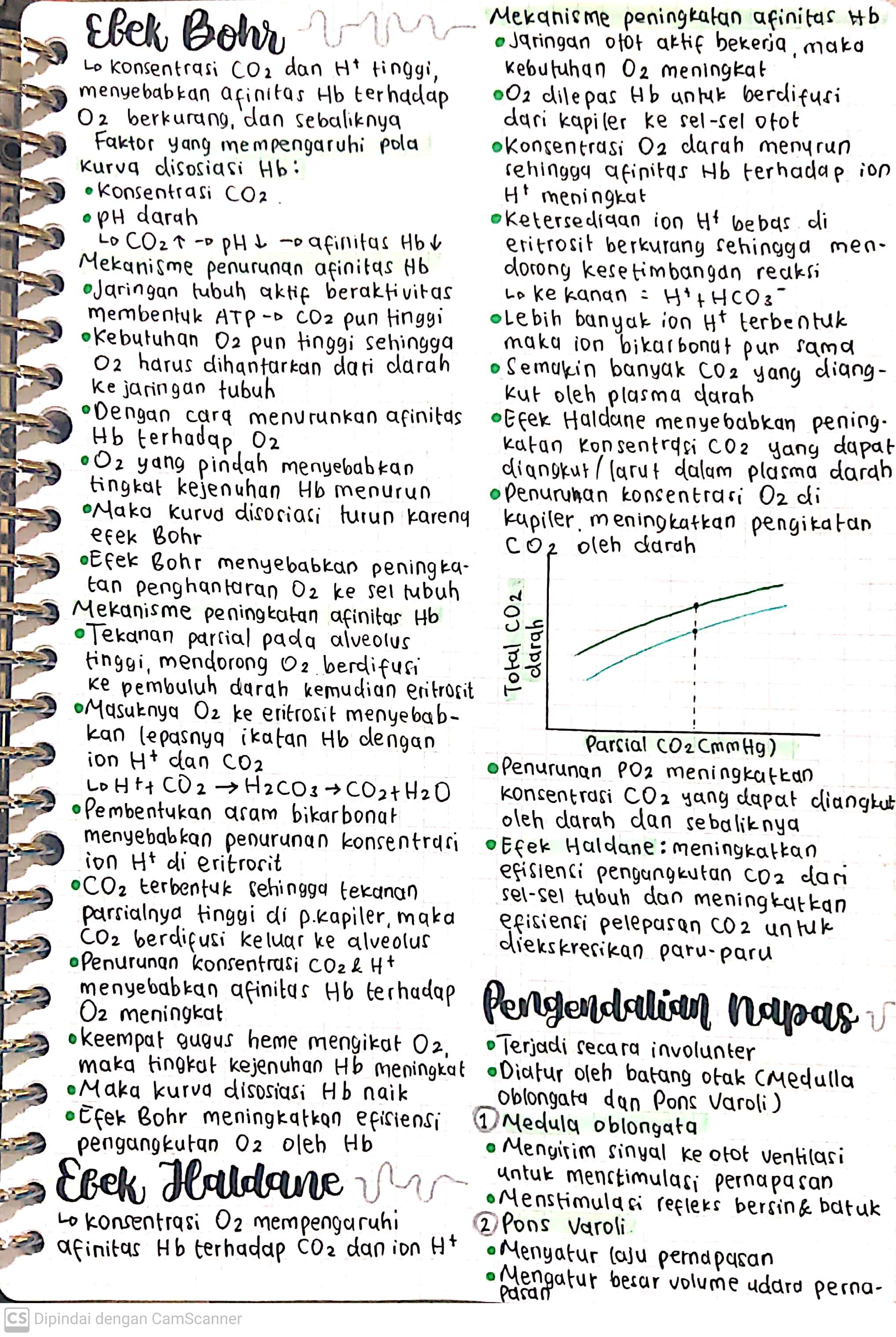 Biologi Kelas 11: Mekanisme Pernapasan - halaman 3