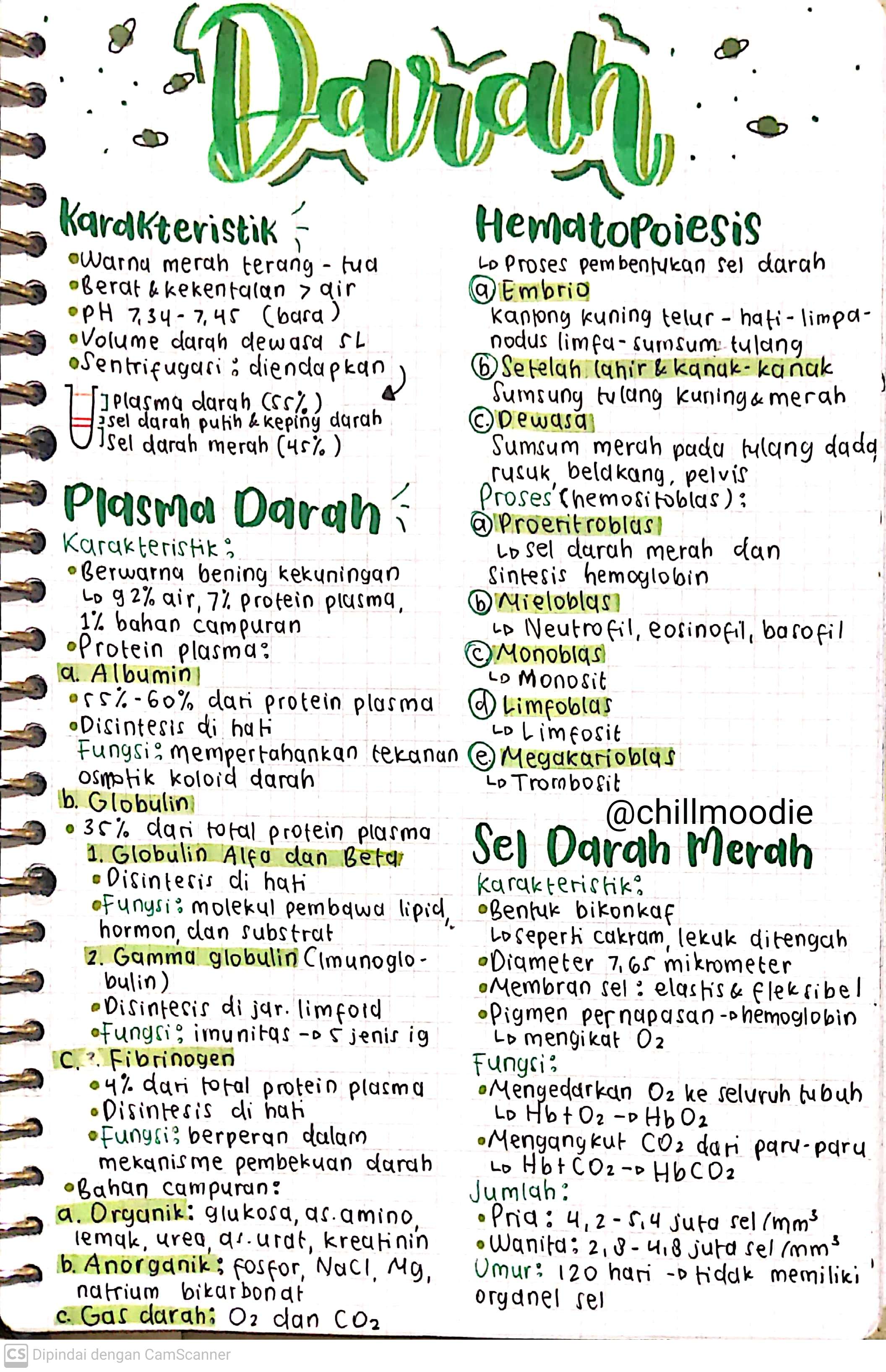 Biologi Kelas 11: Darah