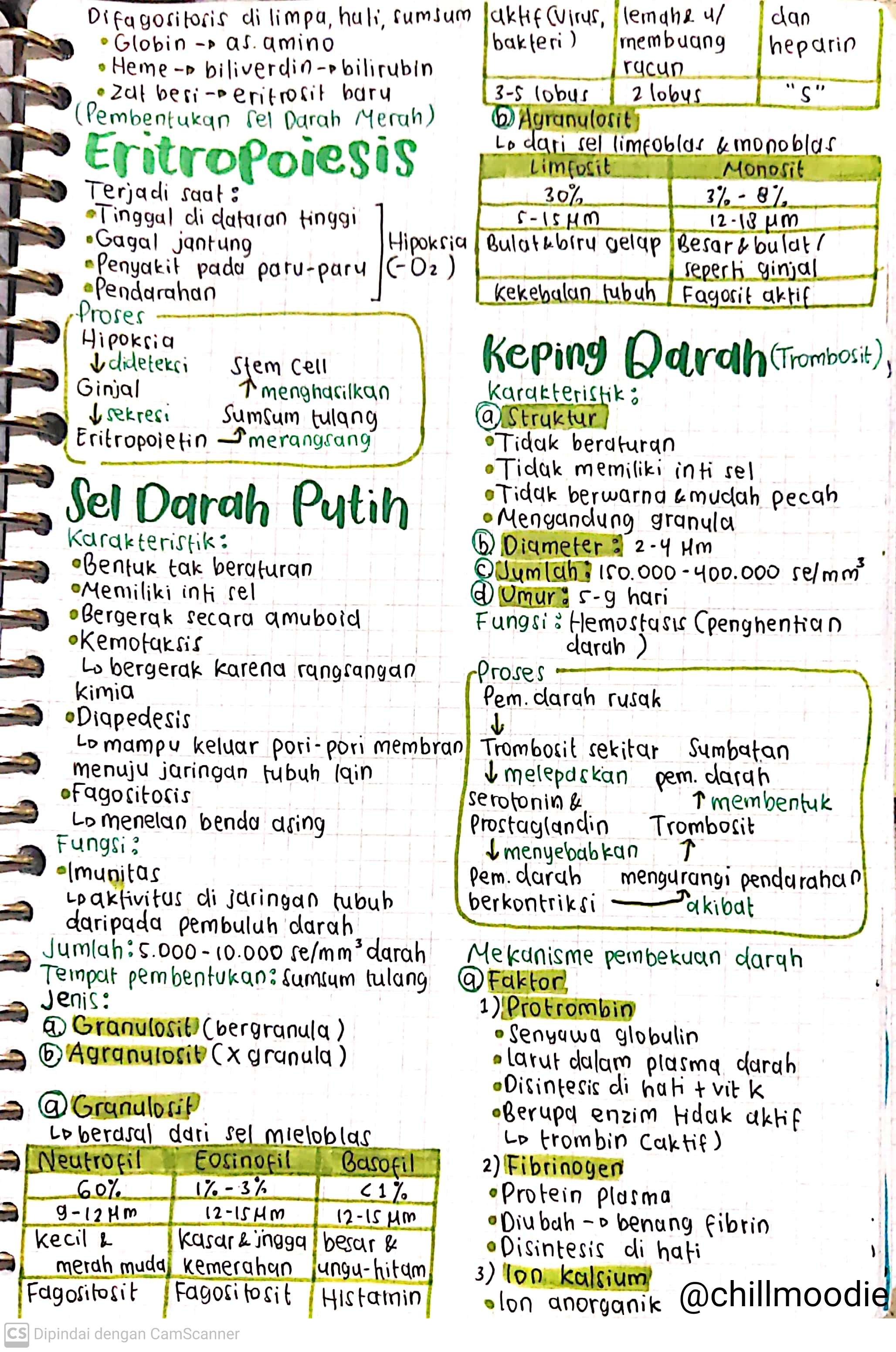 Biologi Kelas 11: Darah - halaman 2