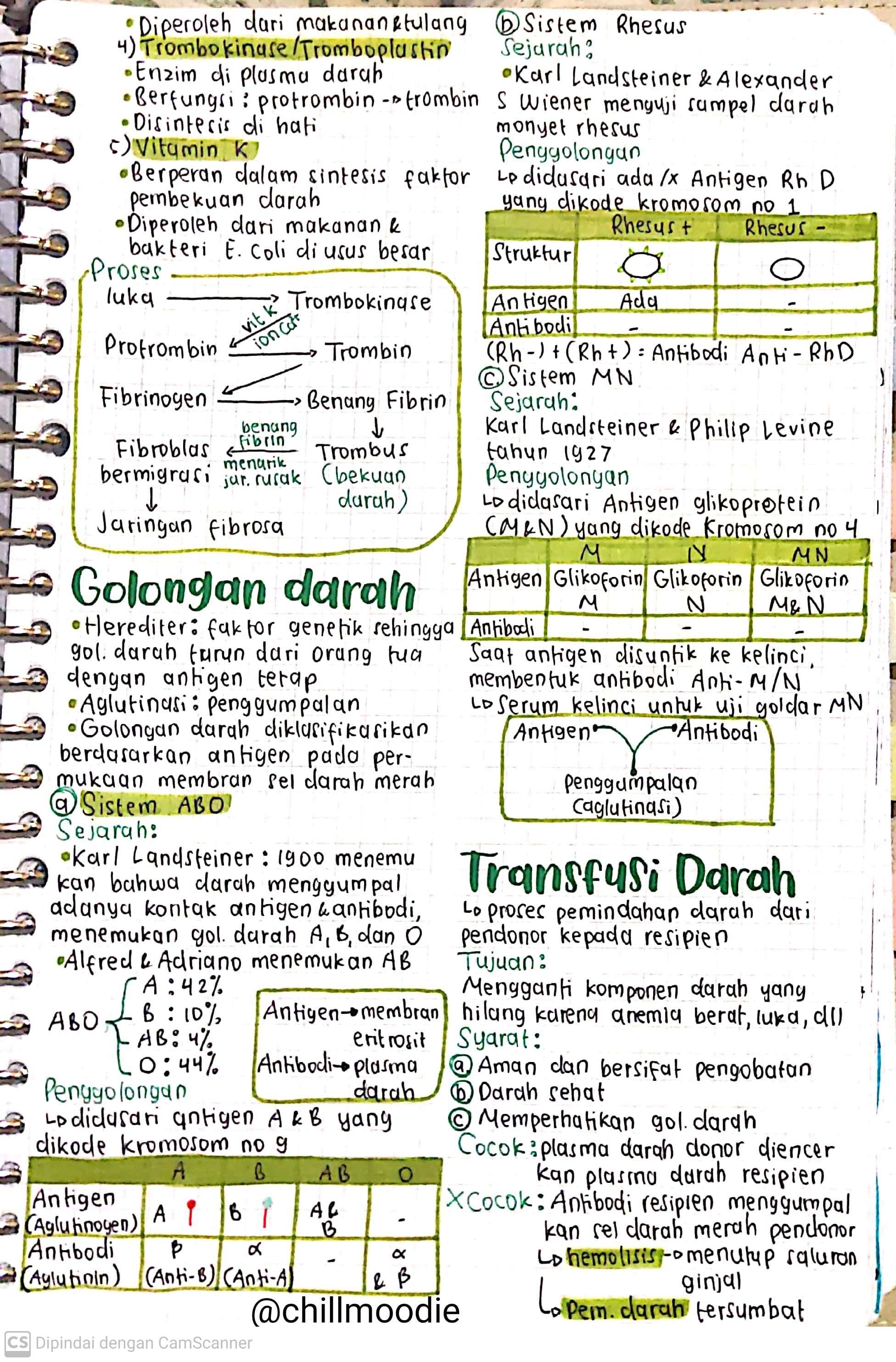Biologi Kelas 11: Darah - halaman 3