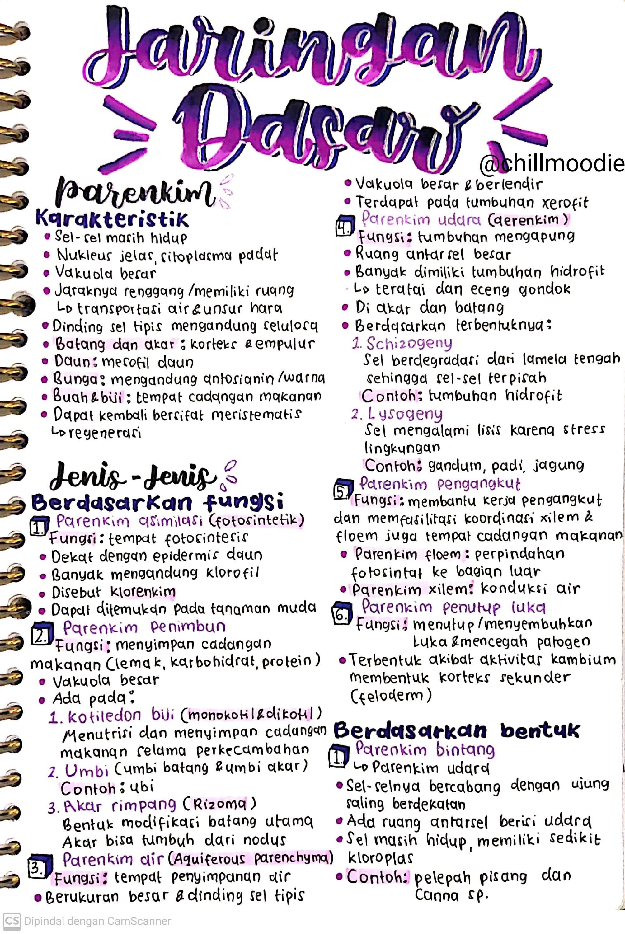 Biologi Kelas 11: Jaringan Dasar