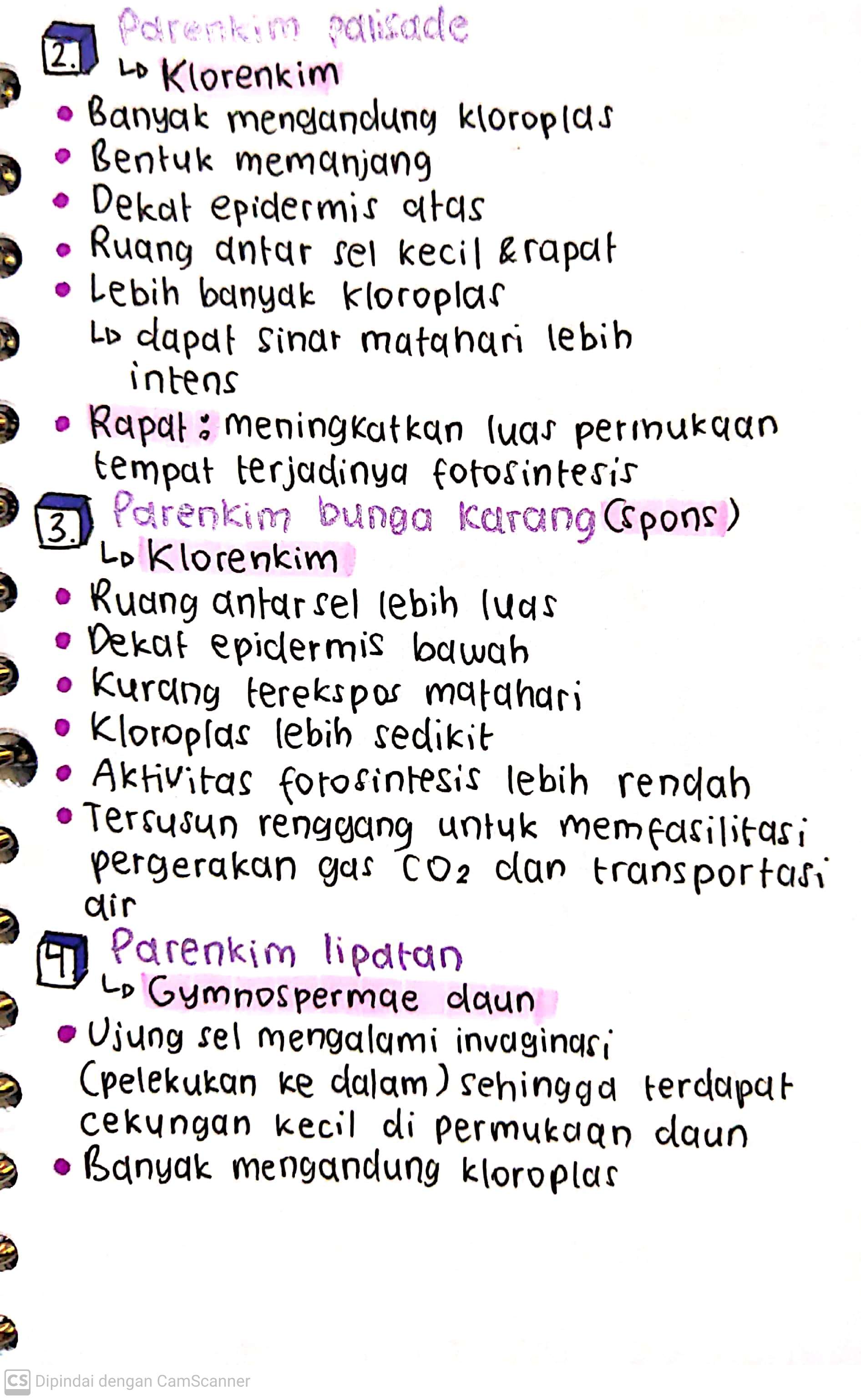 Biologi Kelas 11: Jaringan Dasar - halaman 2