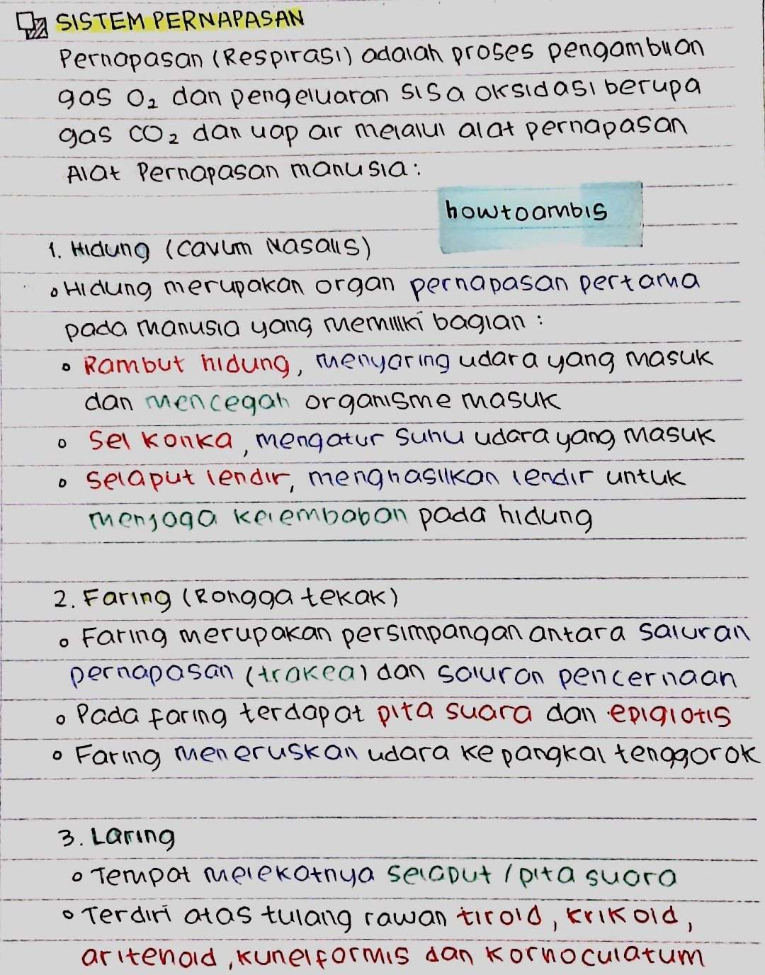 Kelas 11 : Biologi – Sistem pernafasan