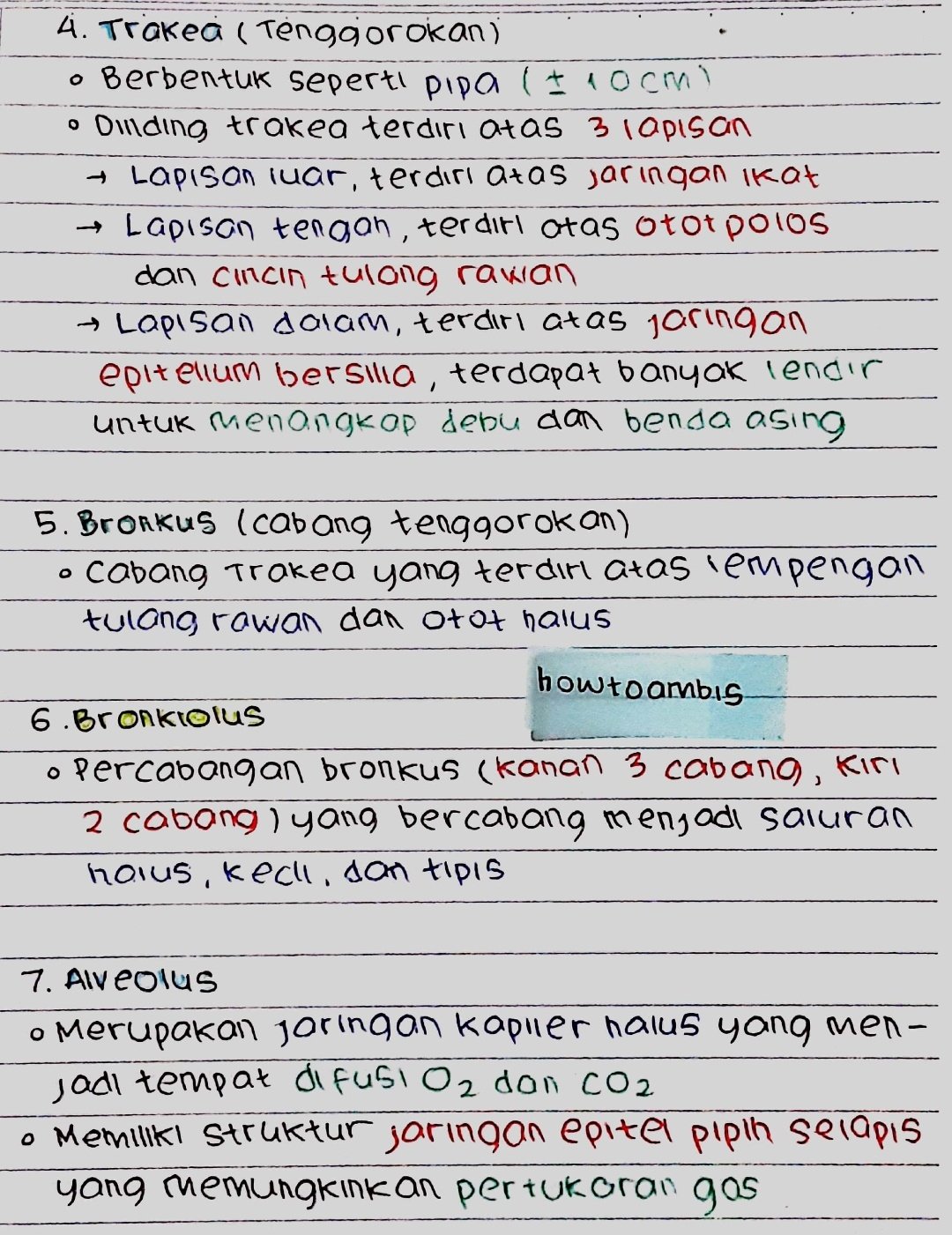 Kelas 11 : Biologi – Sistem pernafasan - halaman 2