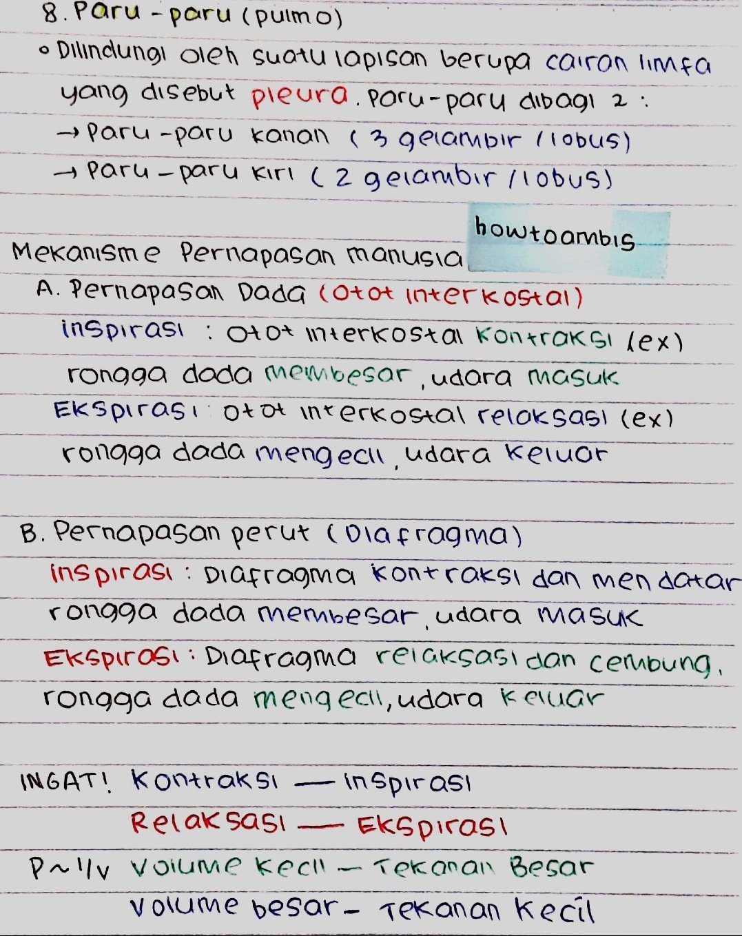 Kelas 11 : Biologi – Sistem pernafasan - halaman 3