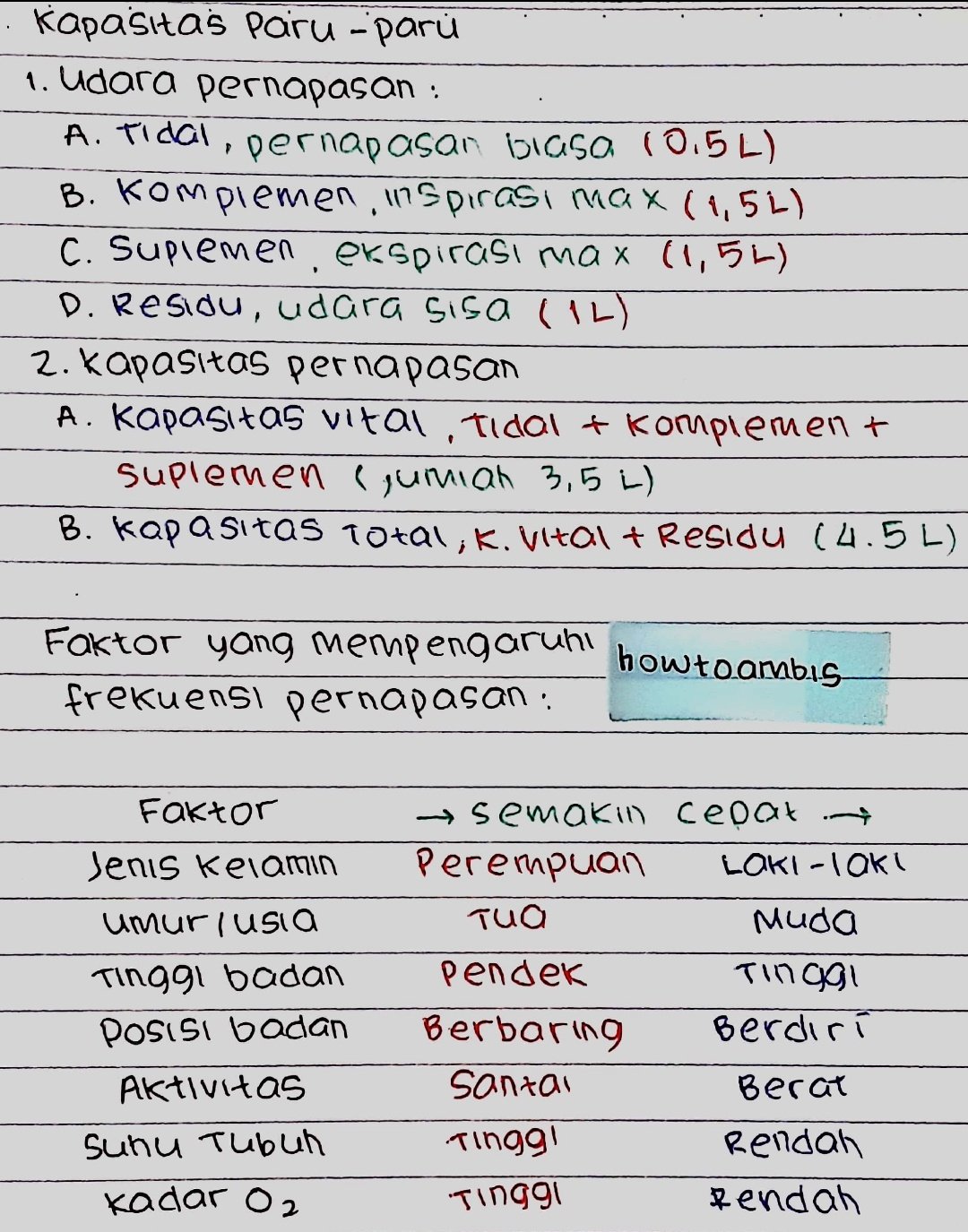 Kelas 11 : Biologi – Sistem pernafasan - halaman 4