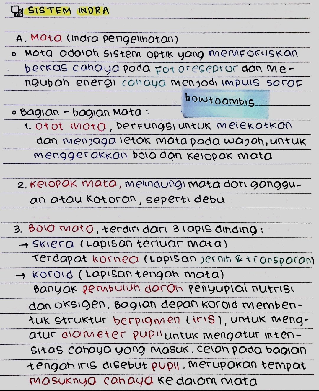 Kelas 11 : Kimia – Asam Basa & Reaksinya