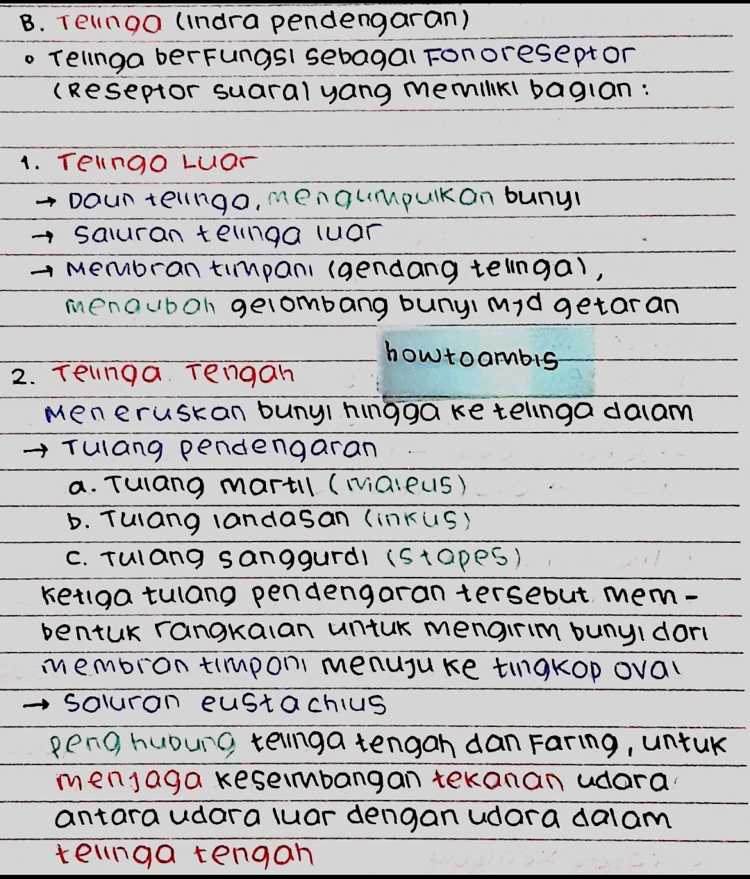 Kelas 11 : Kimia – Asam Basa & Reaksinya - halaman 3