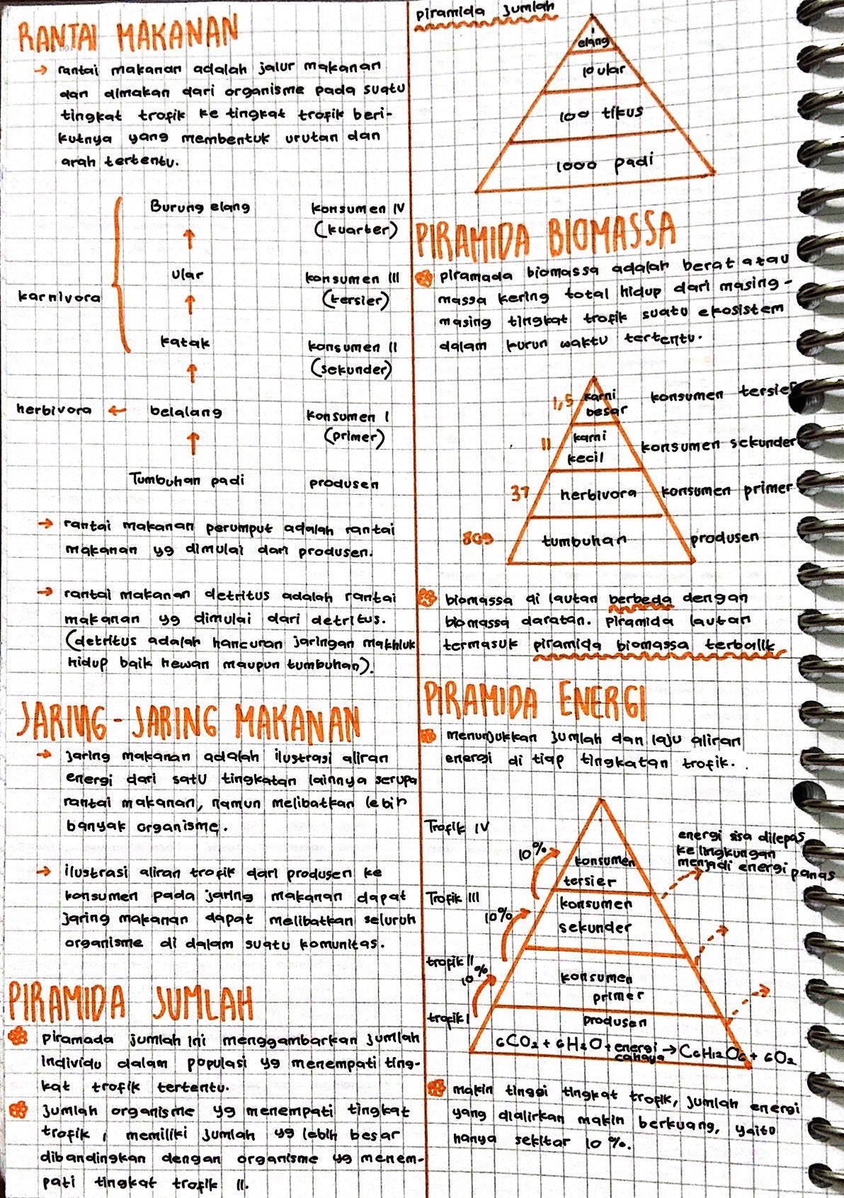Ekosistem Kelas 10 - halaman 4