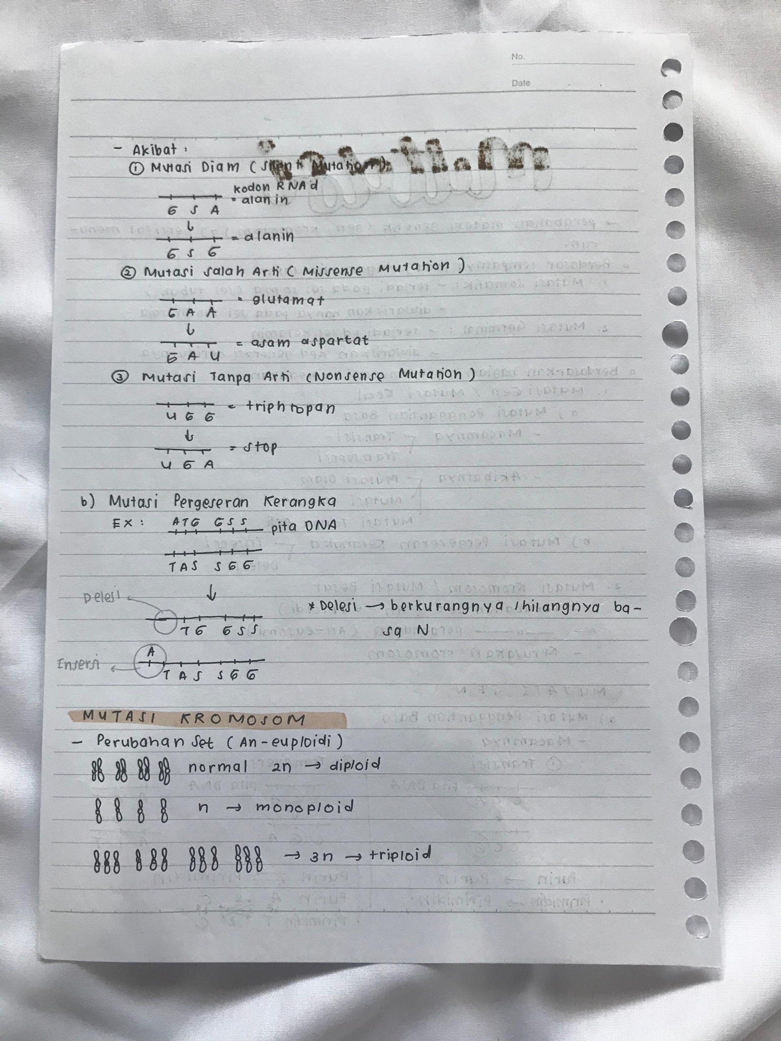 Mutasi Kelas 12 - halaman 2