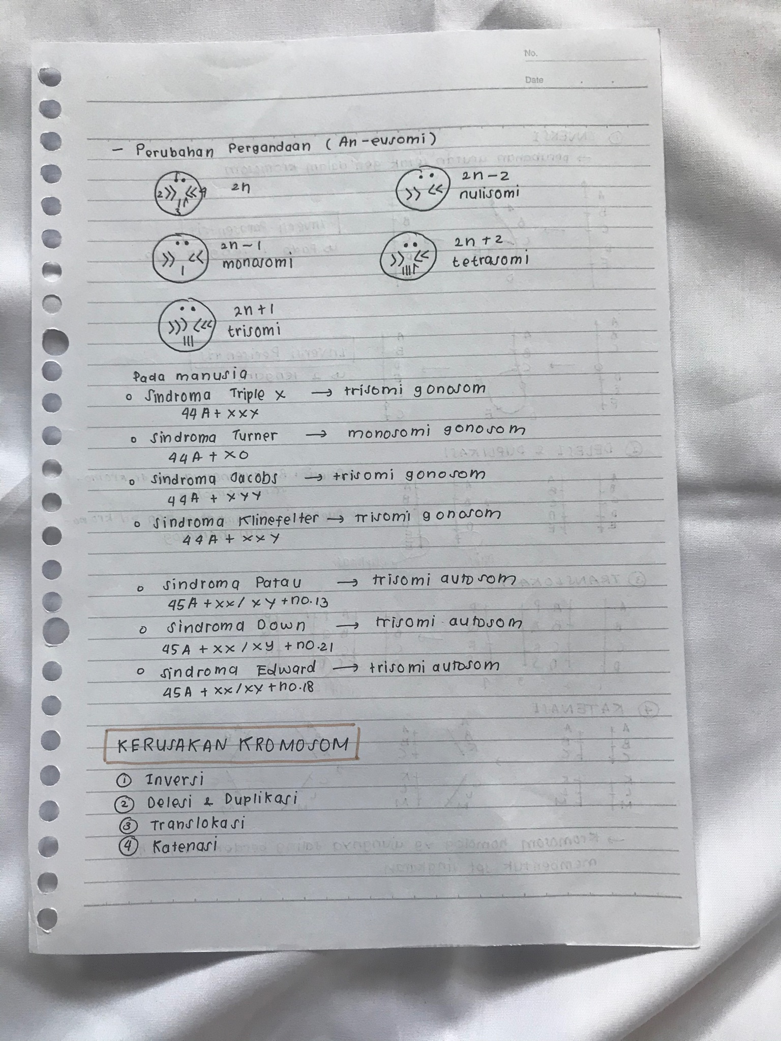 Mutasi Kelas 12 - halaman 3