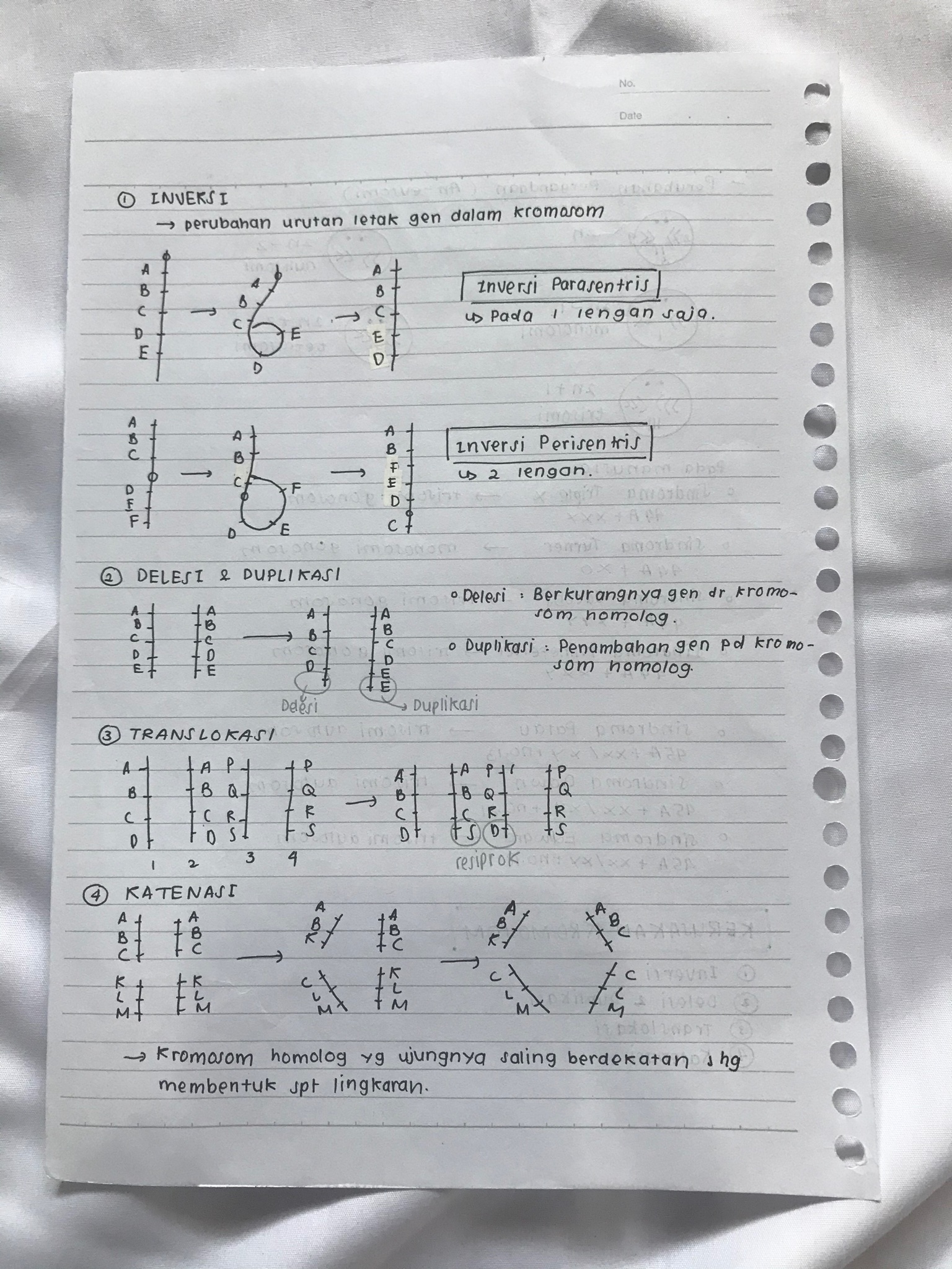 Mutasi Kelas 12 - halaman 4