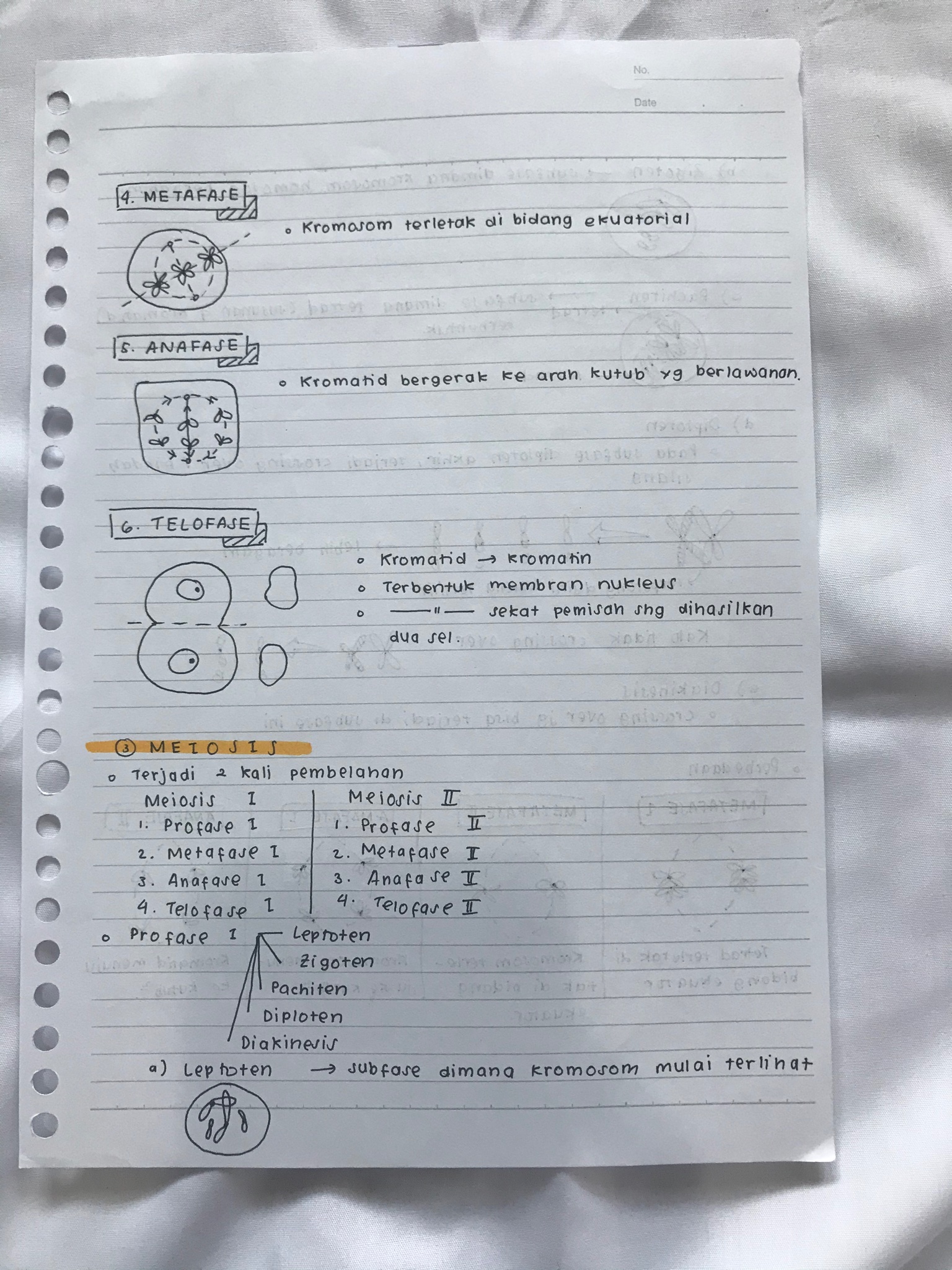 Reproduksi Sel kelas 12 - halaman 3