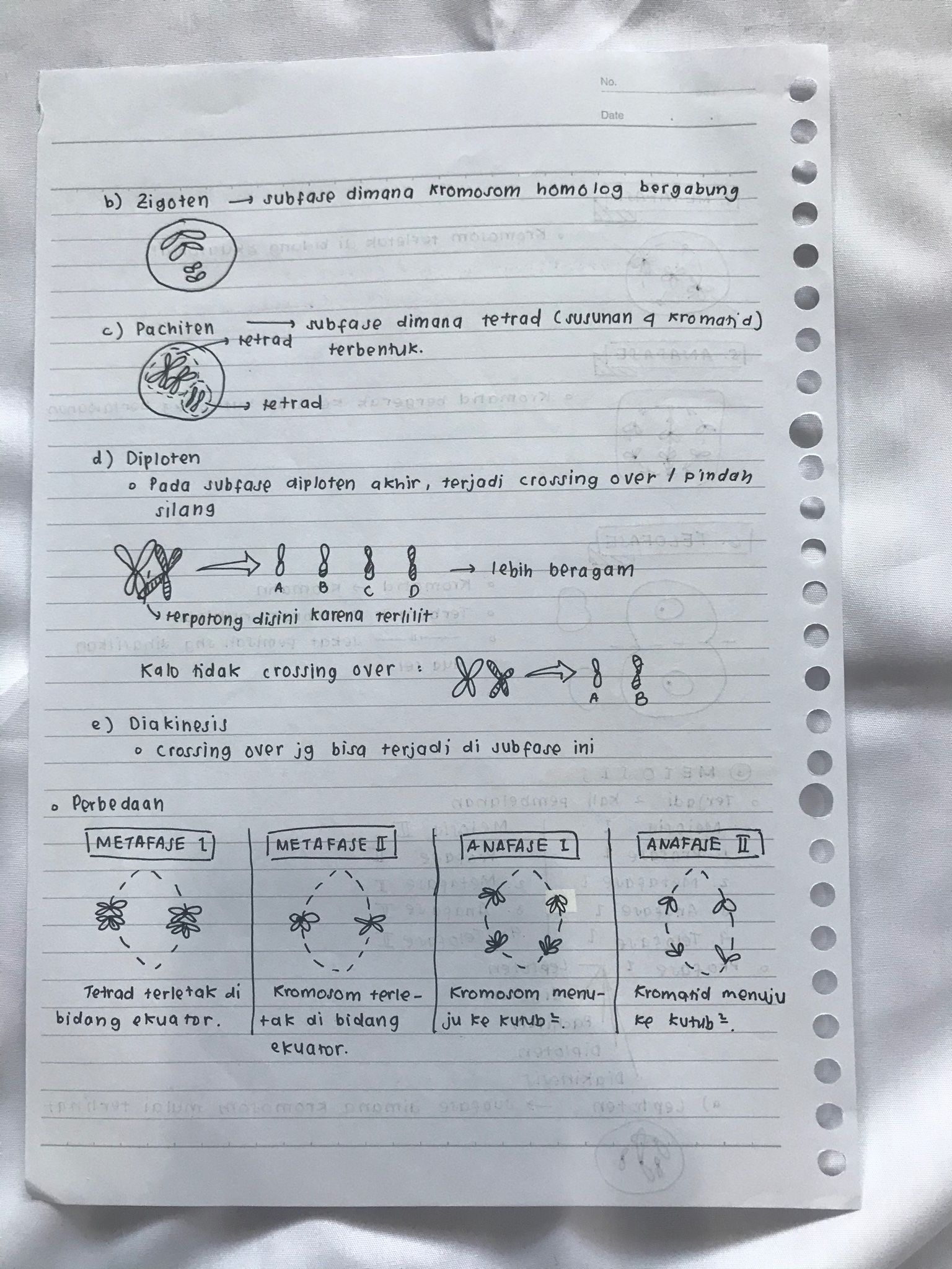 Reproduksi Sel kelas 12 - halaman 4