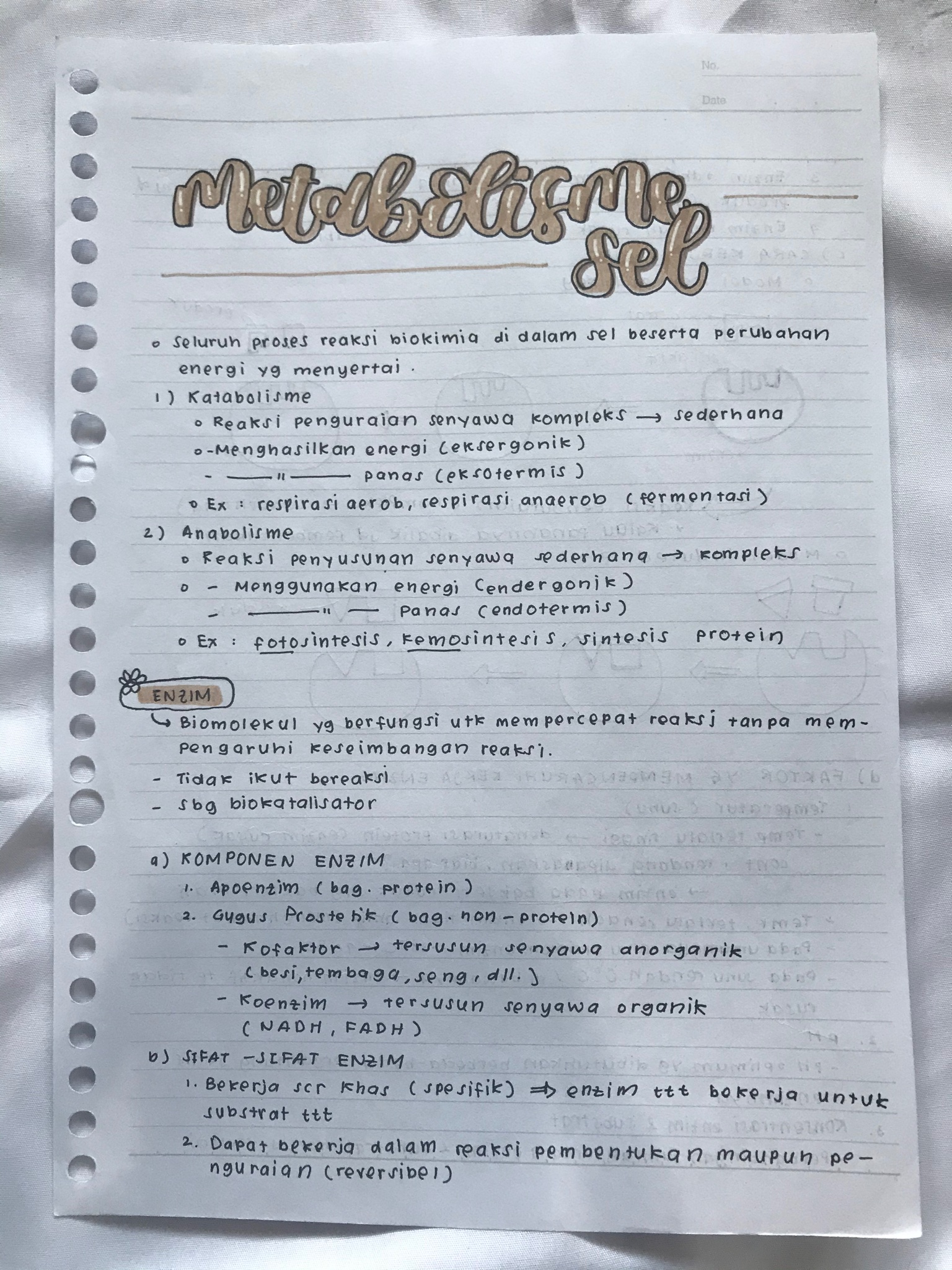 Metabolisme Sel Kelas 12