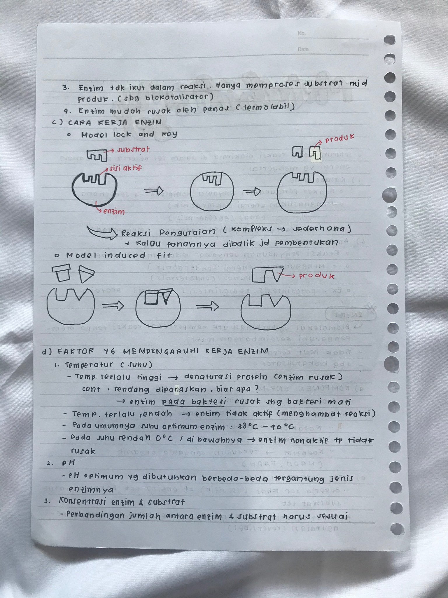 Metabolisme Sel Kelas 12 - halaman 2
