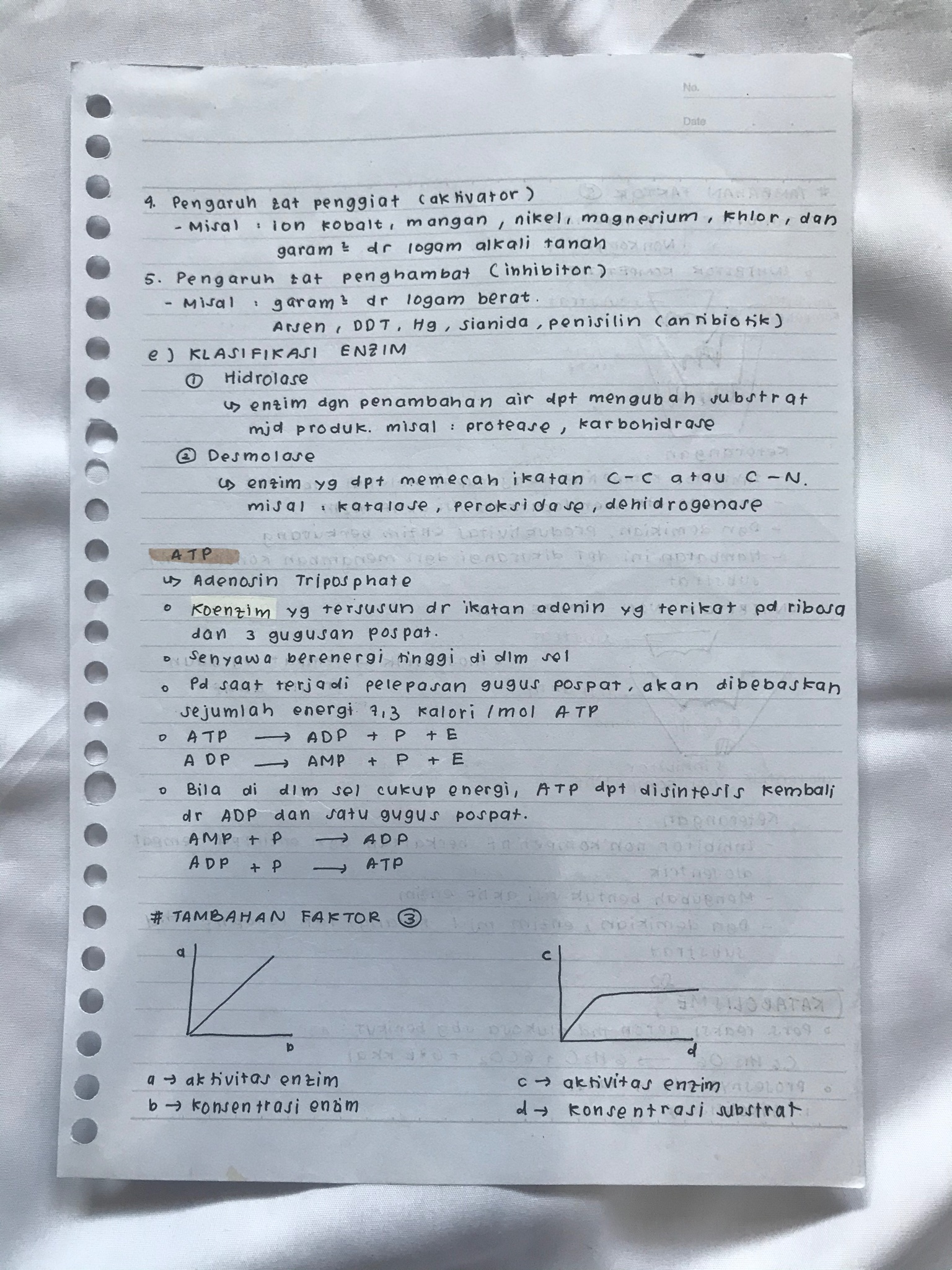 Metabolisme Sel Kelas 12 - halaman 3