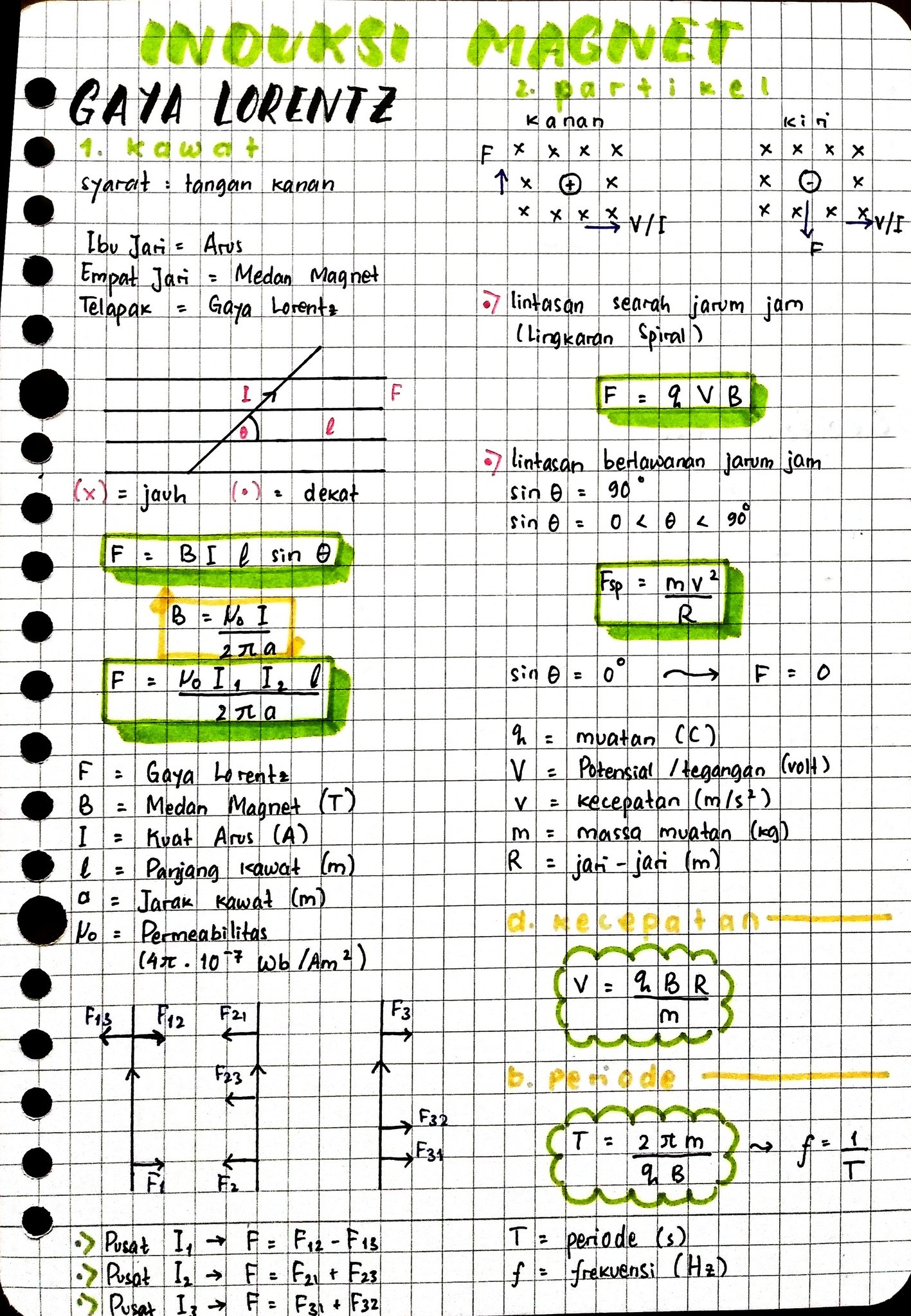 Gaya Lorentz Kelas 12