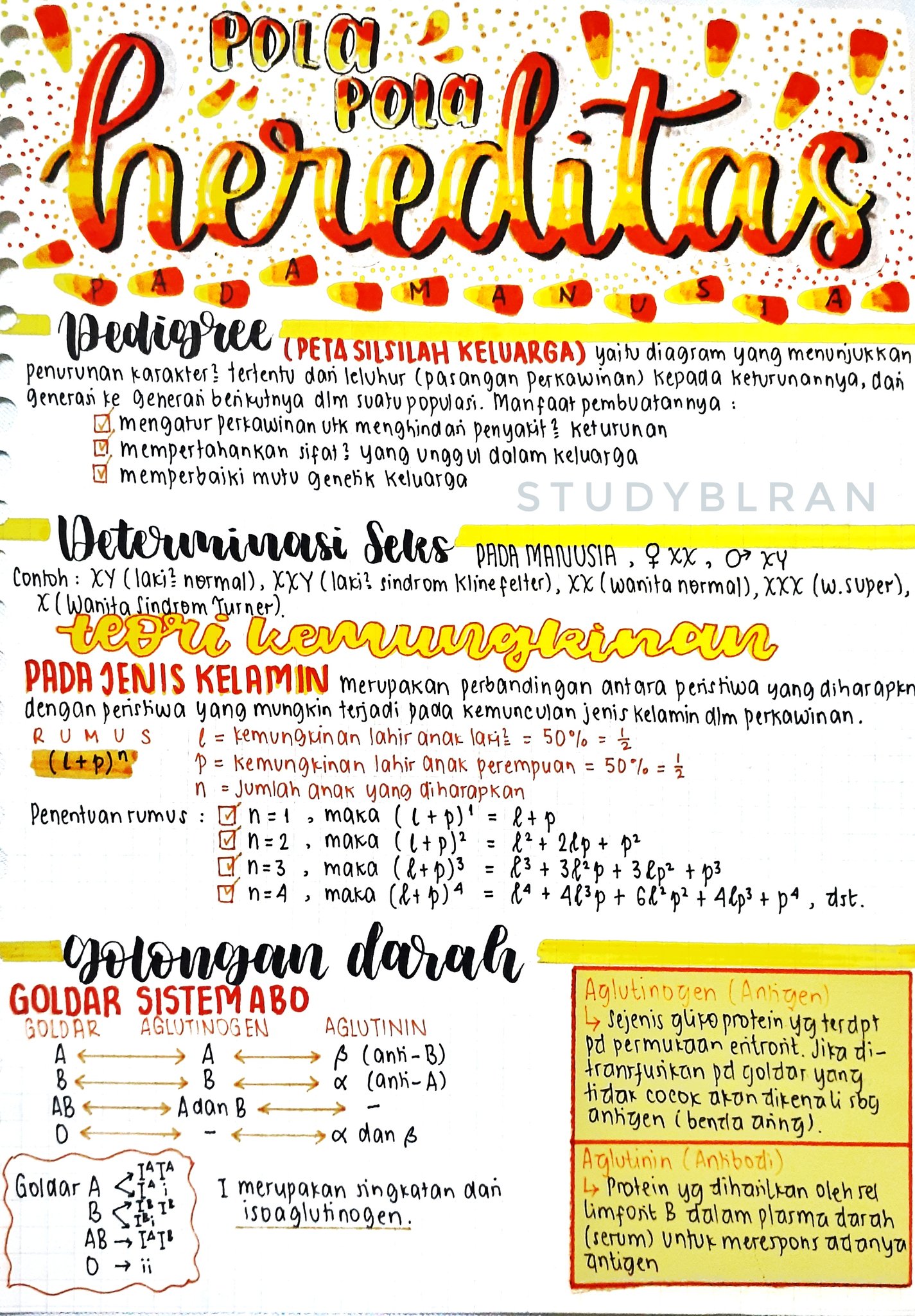 Pola-pola Hereditas Kelas 12